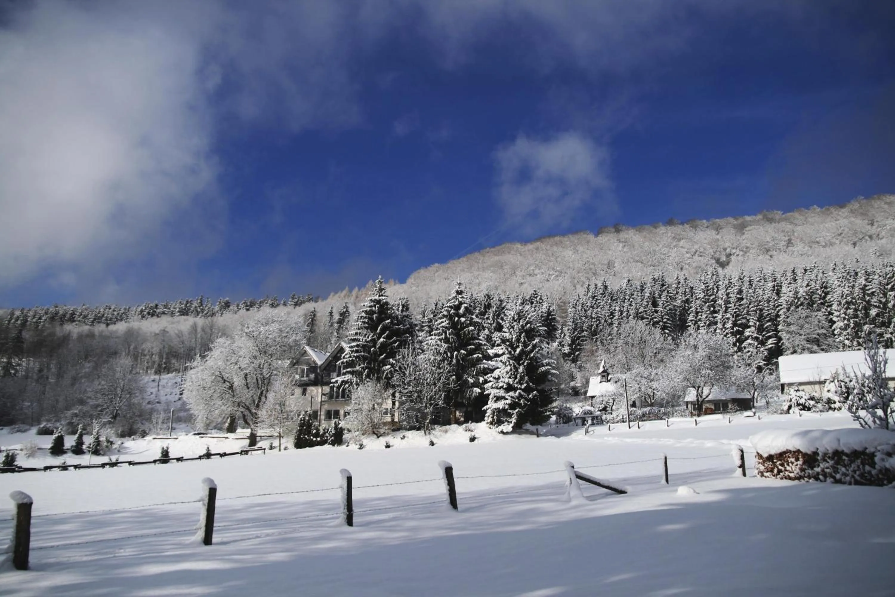 Area and facilities in Waldhotel Schinkenwirt