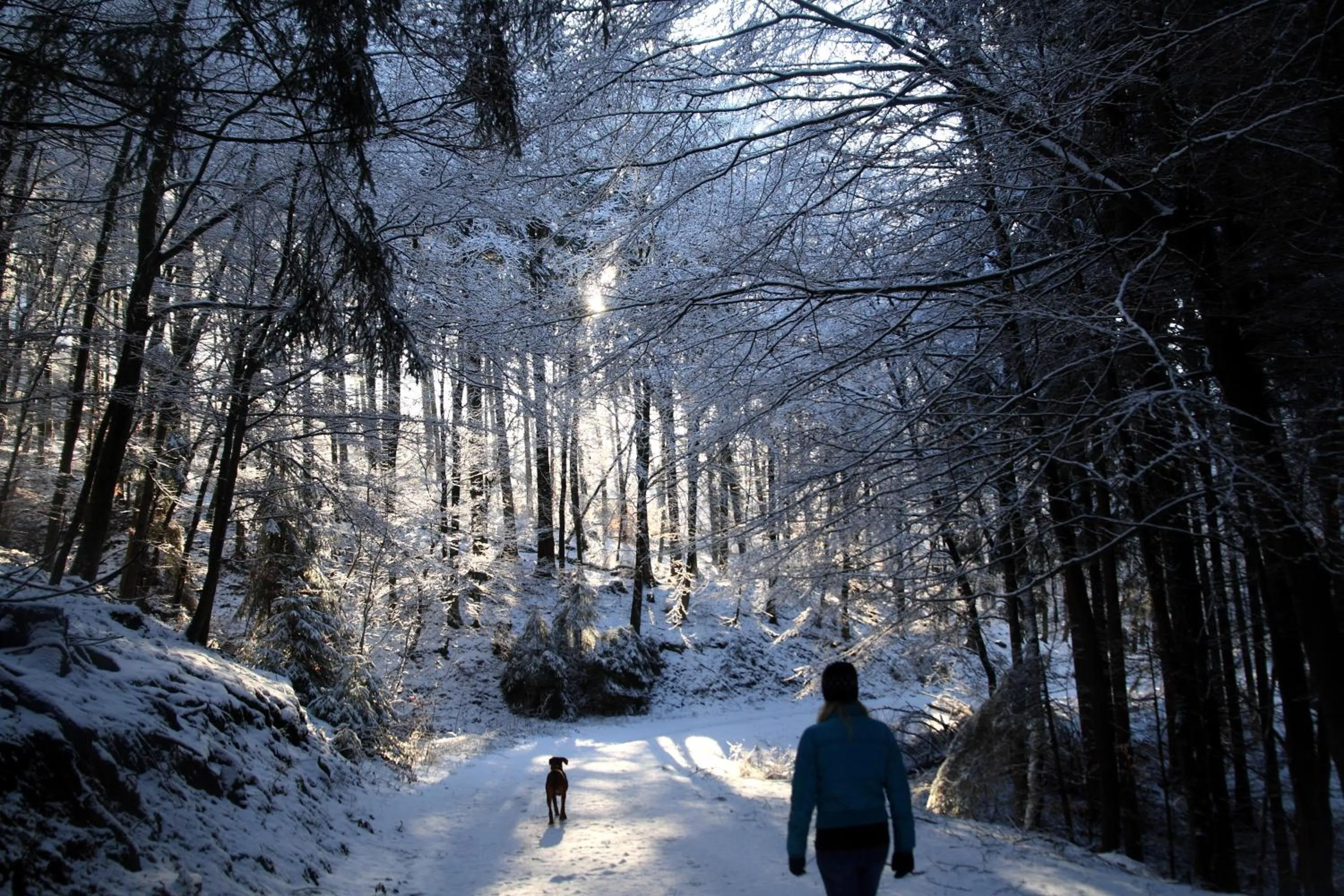 Area and facilities in Waldhotel Schinkenwirt