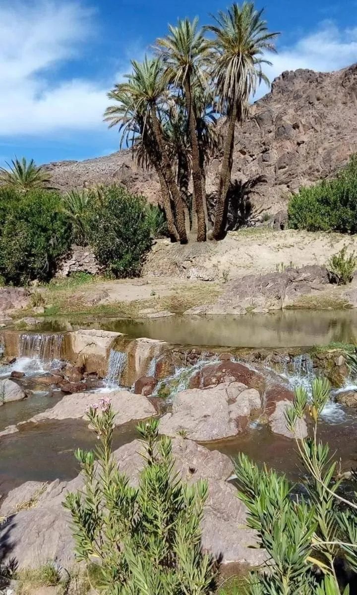 ecolodge bivouac des aigles