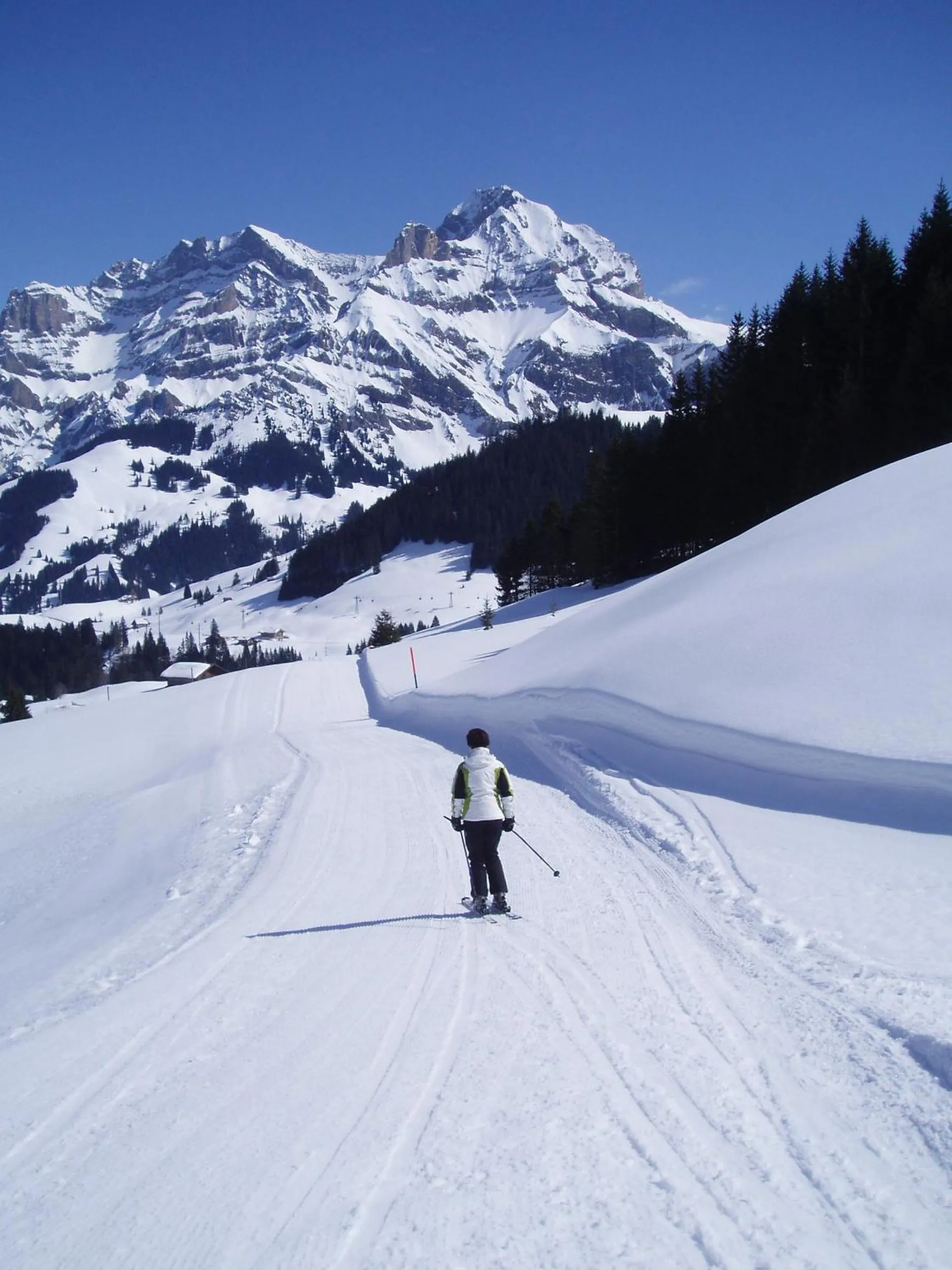 Skiing in Hotel Des Alpes