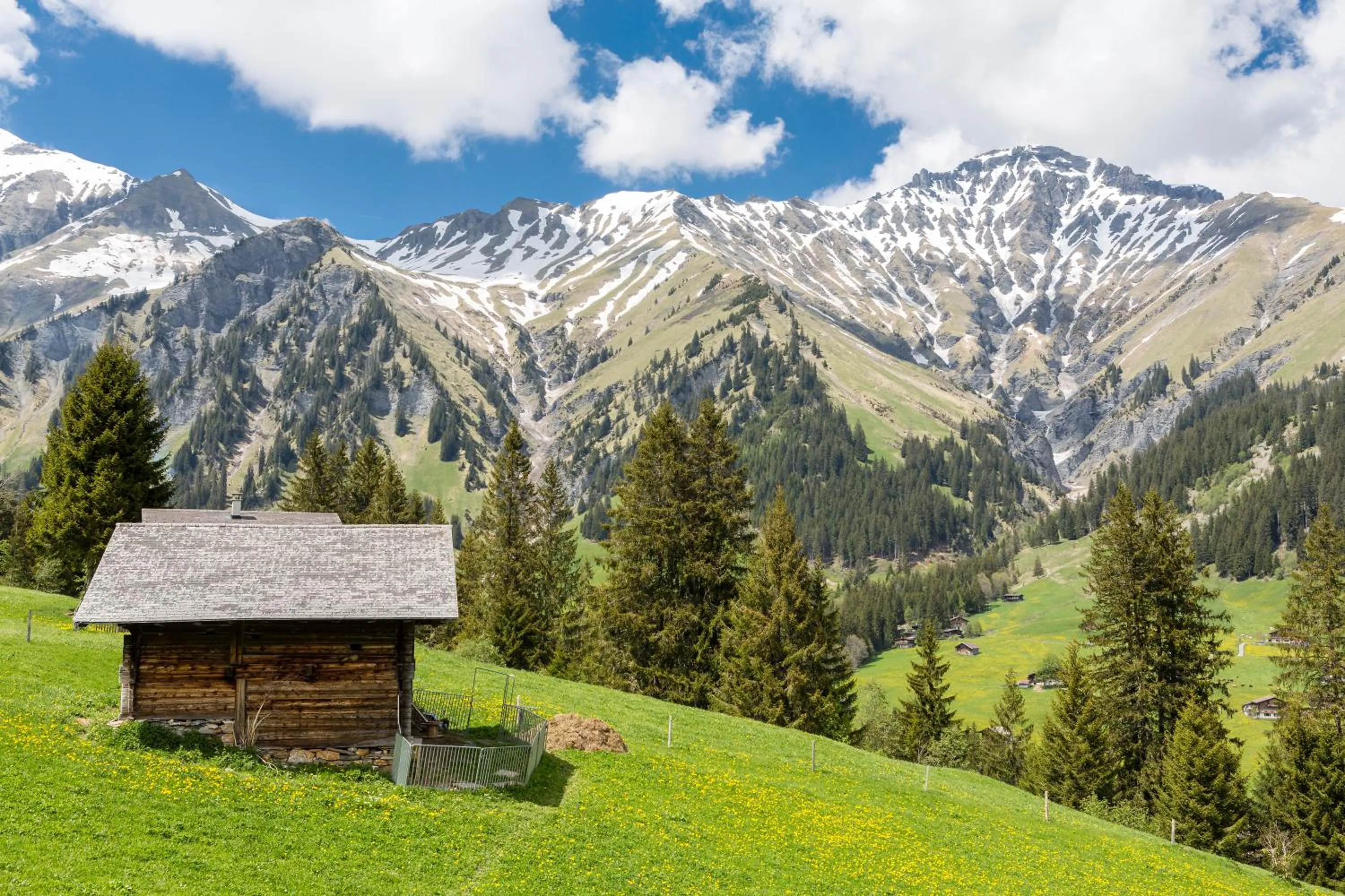 Mountain view in Hotel Des Alpes