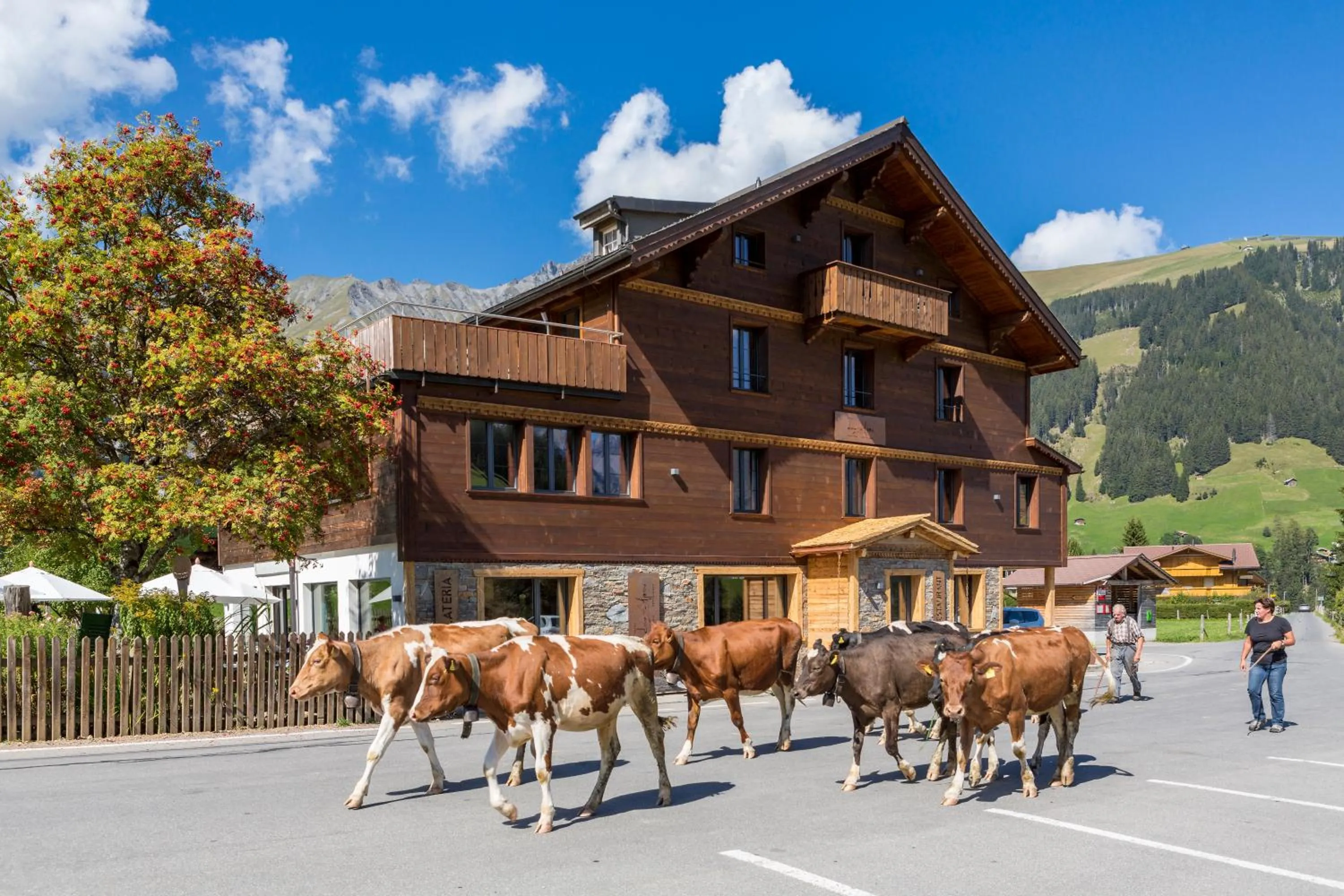 Property building in Hotel Des Alpes