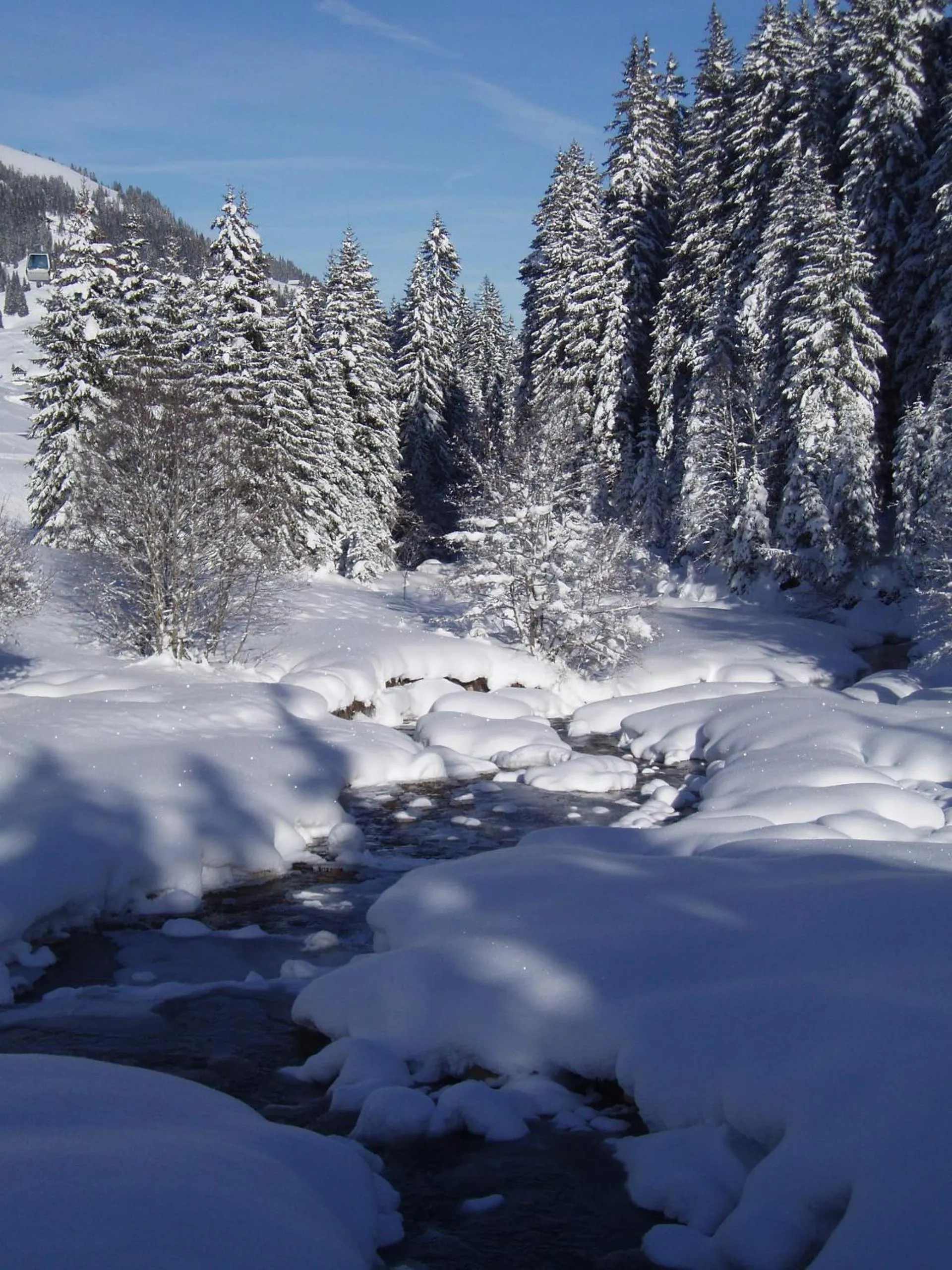 Area and facilities in Hotel Des Alpes