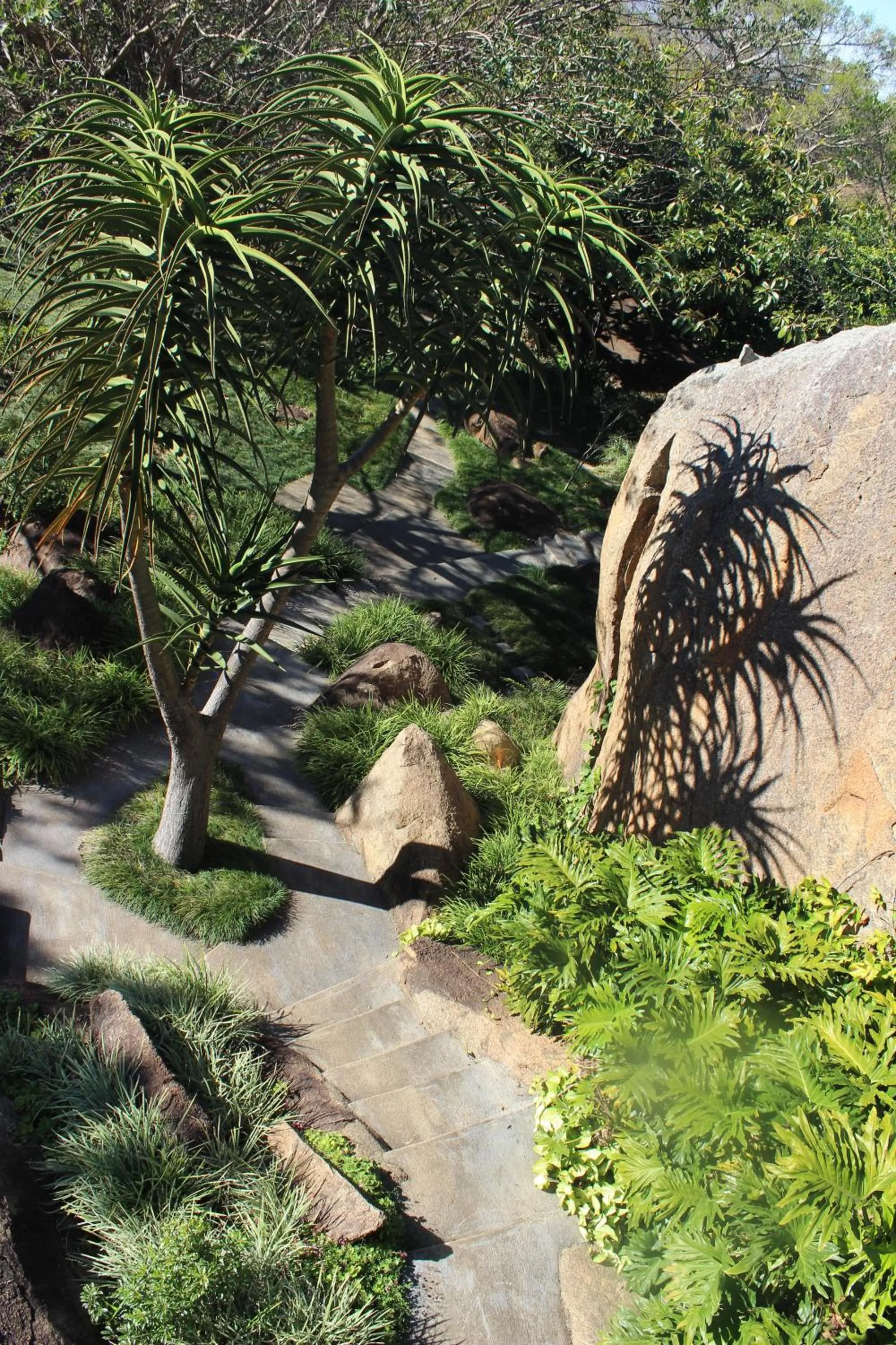 Garden in Mogi Boutique Hotel