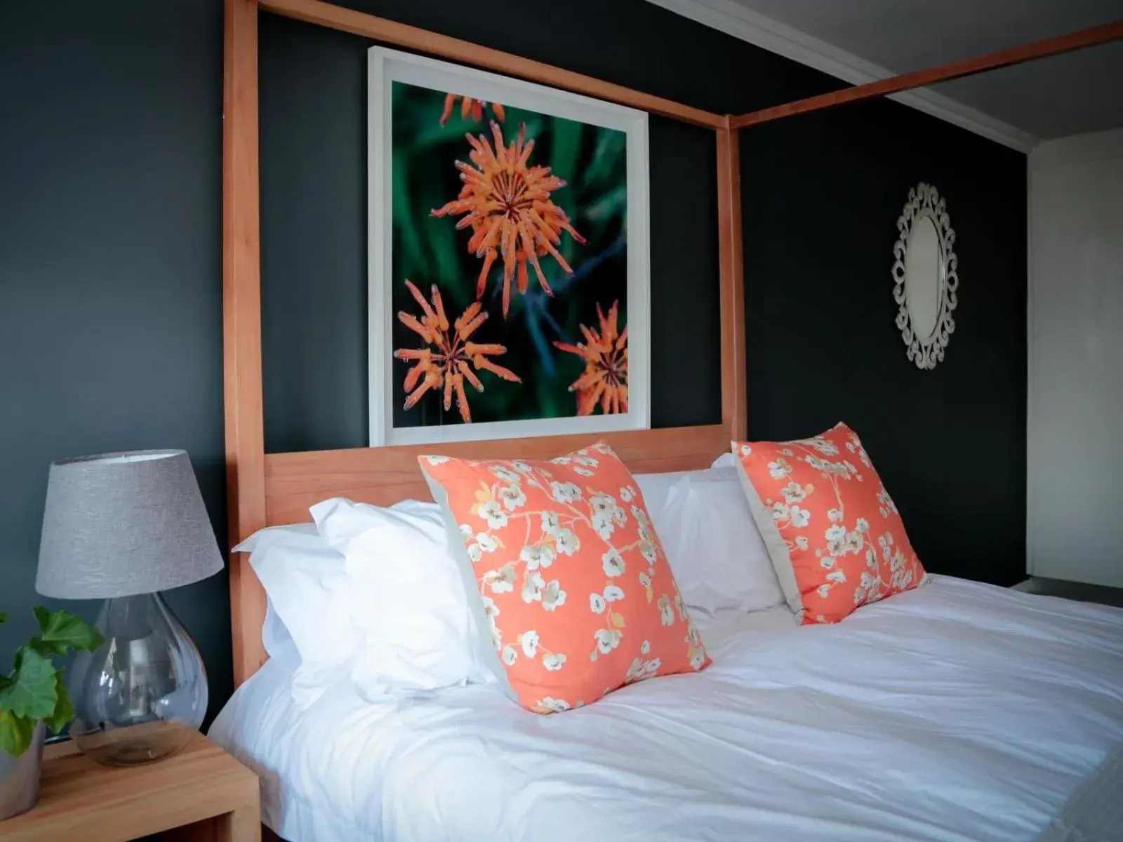 Standard Double Room - single occupancy in Mogi Boutique Hotel Standard Double Room - single occupancy in Mogi Boutique Hotel