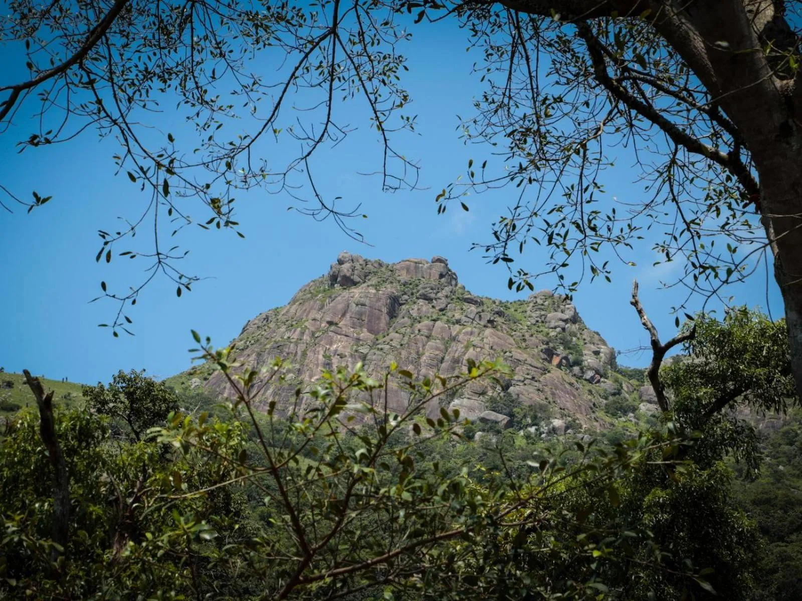 Property building in Mogi Boutique Hotel