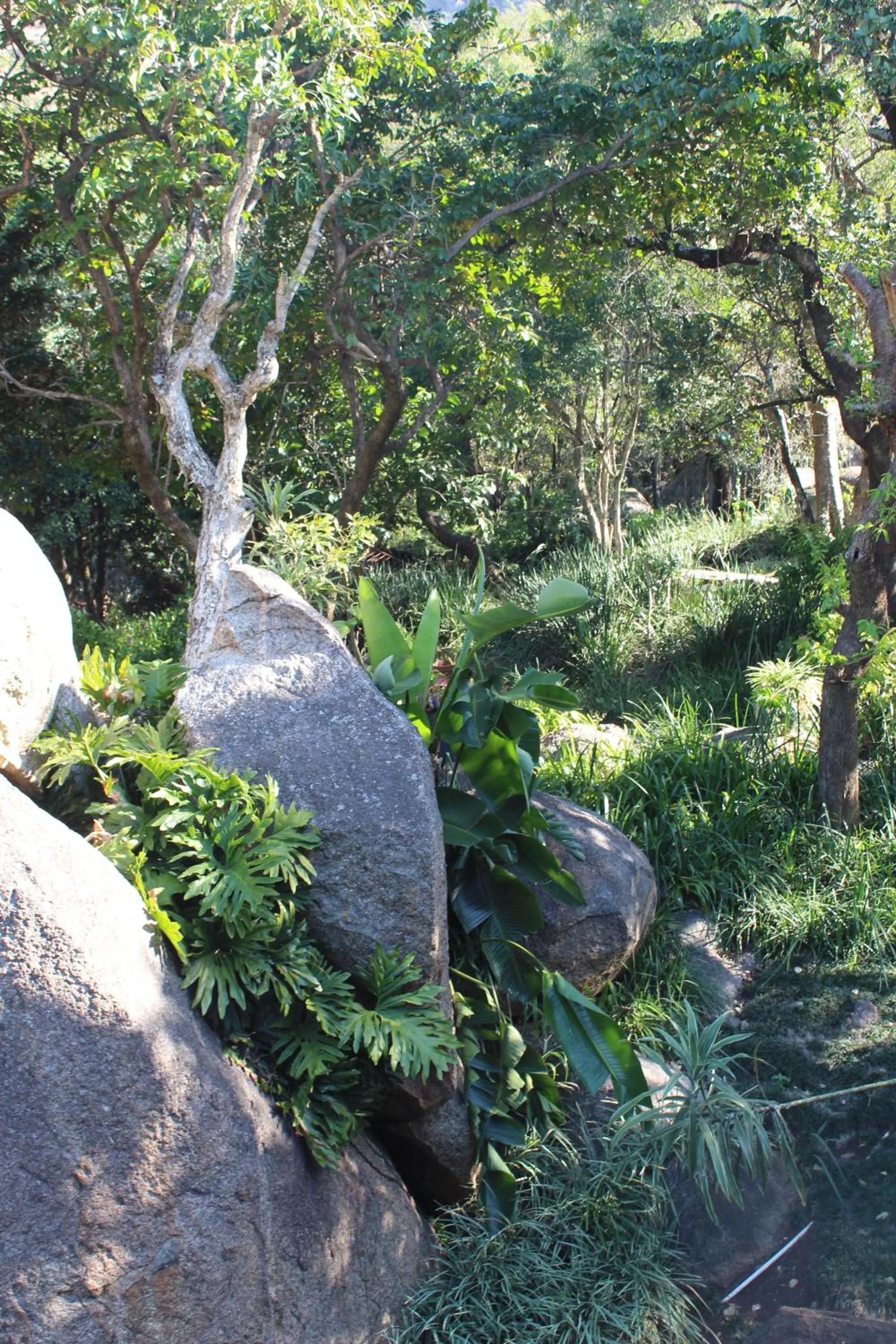 Garden in Mogi Boutique Hotel