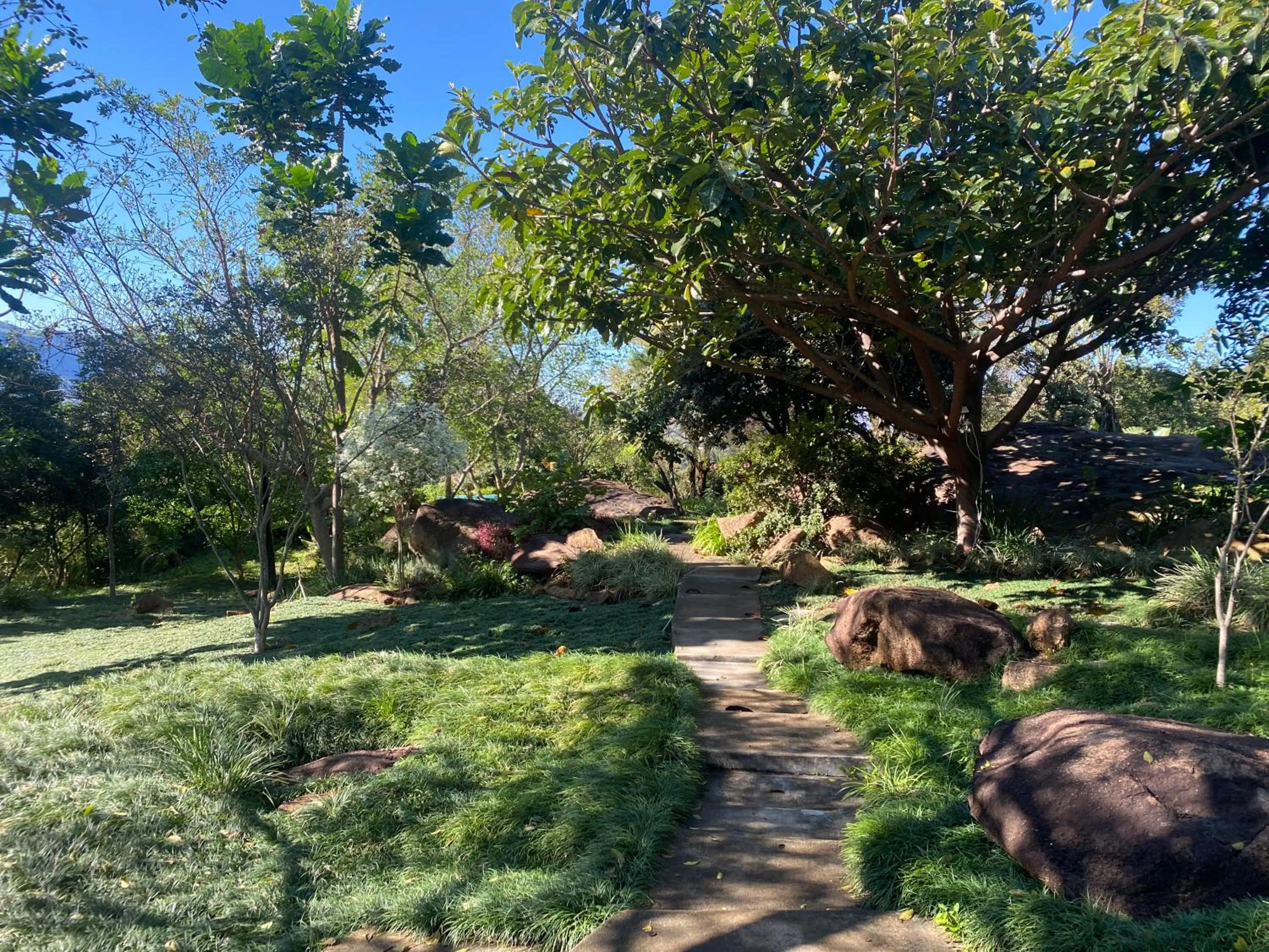 Garden in Mogi Boutique Hotel