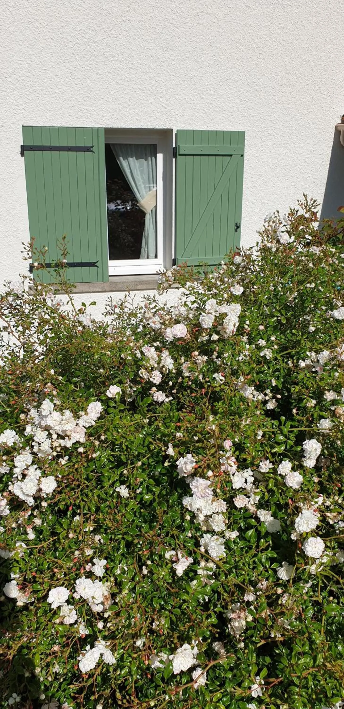Garden in Les érables
