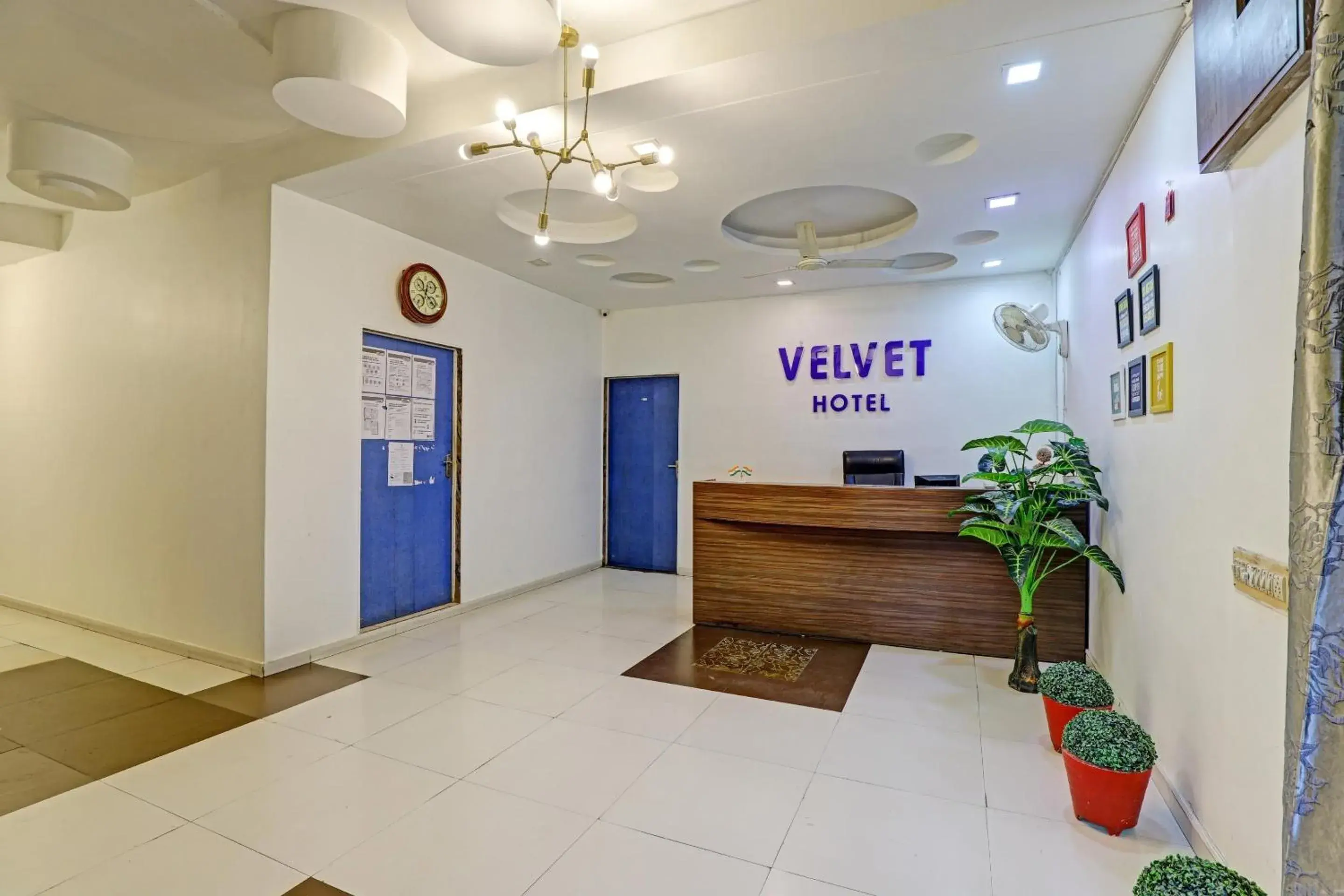 Lobby or reception in Hotel Velvet Lobby or reception in Hotel Velvet