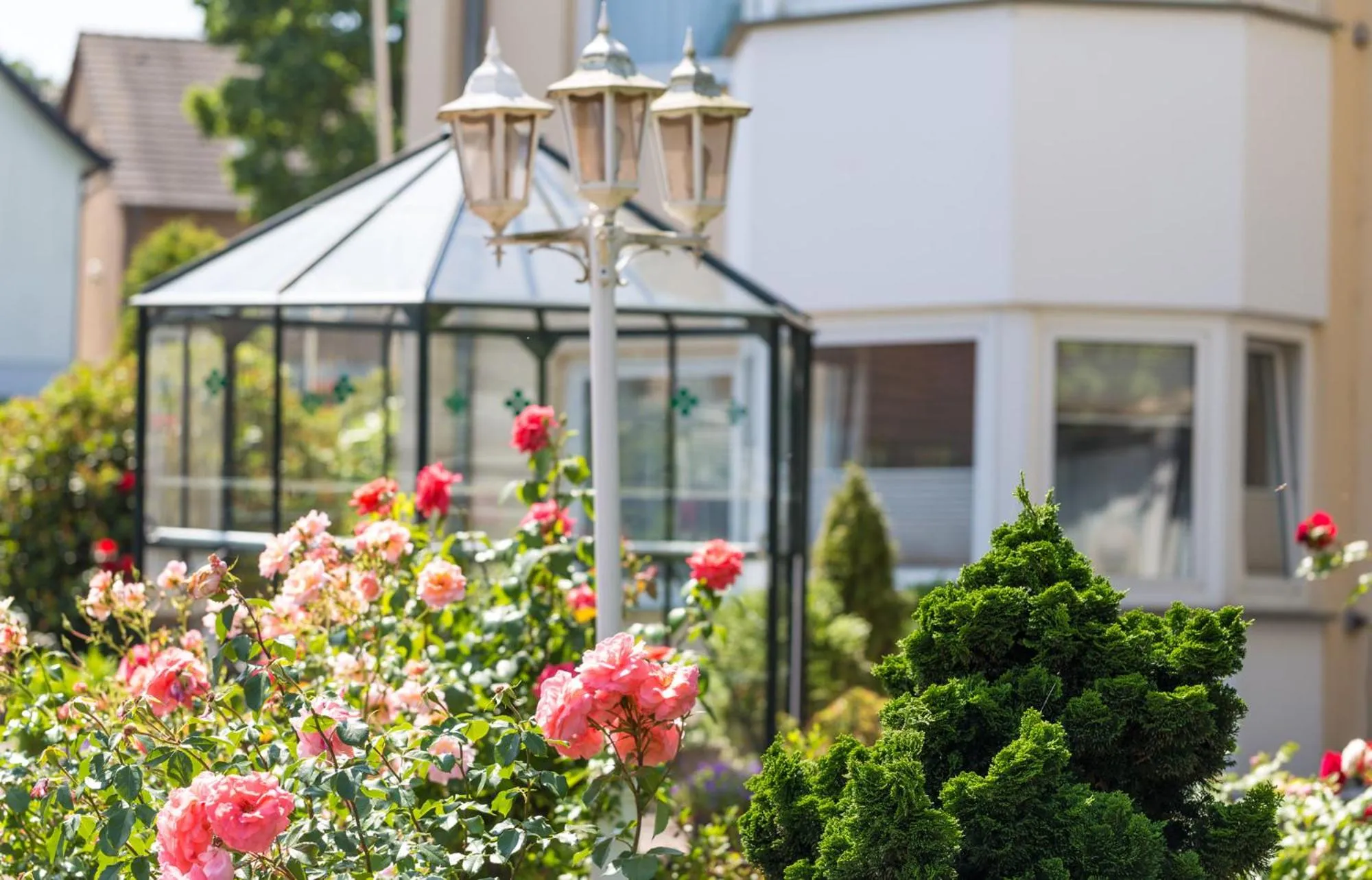 Garden in Trollinger Hof
