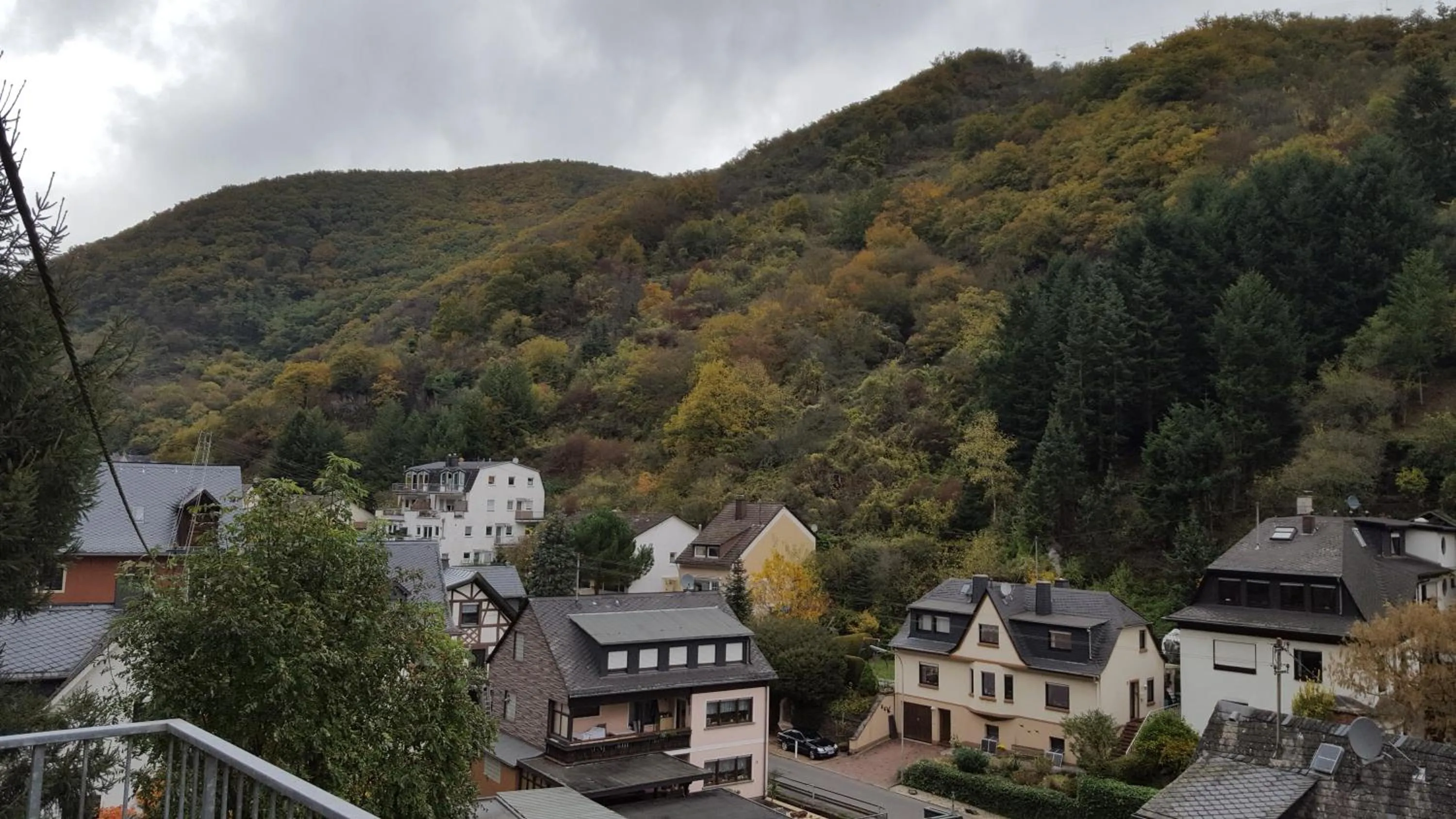 Natural landscape in Hotel Bergschlösschen