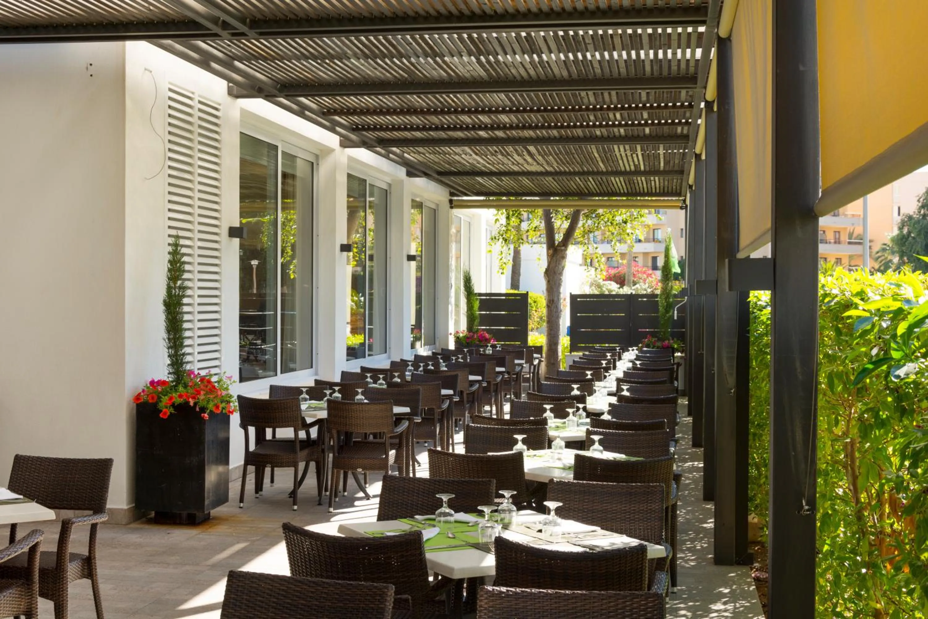 Restaurant/places to eat in Protur Vista Badia