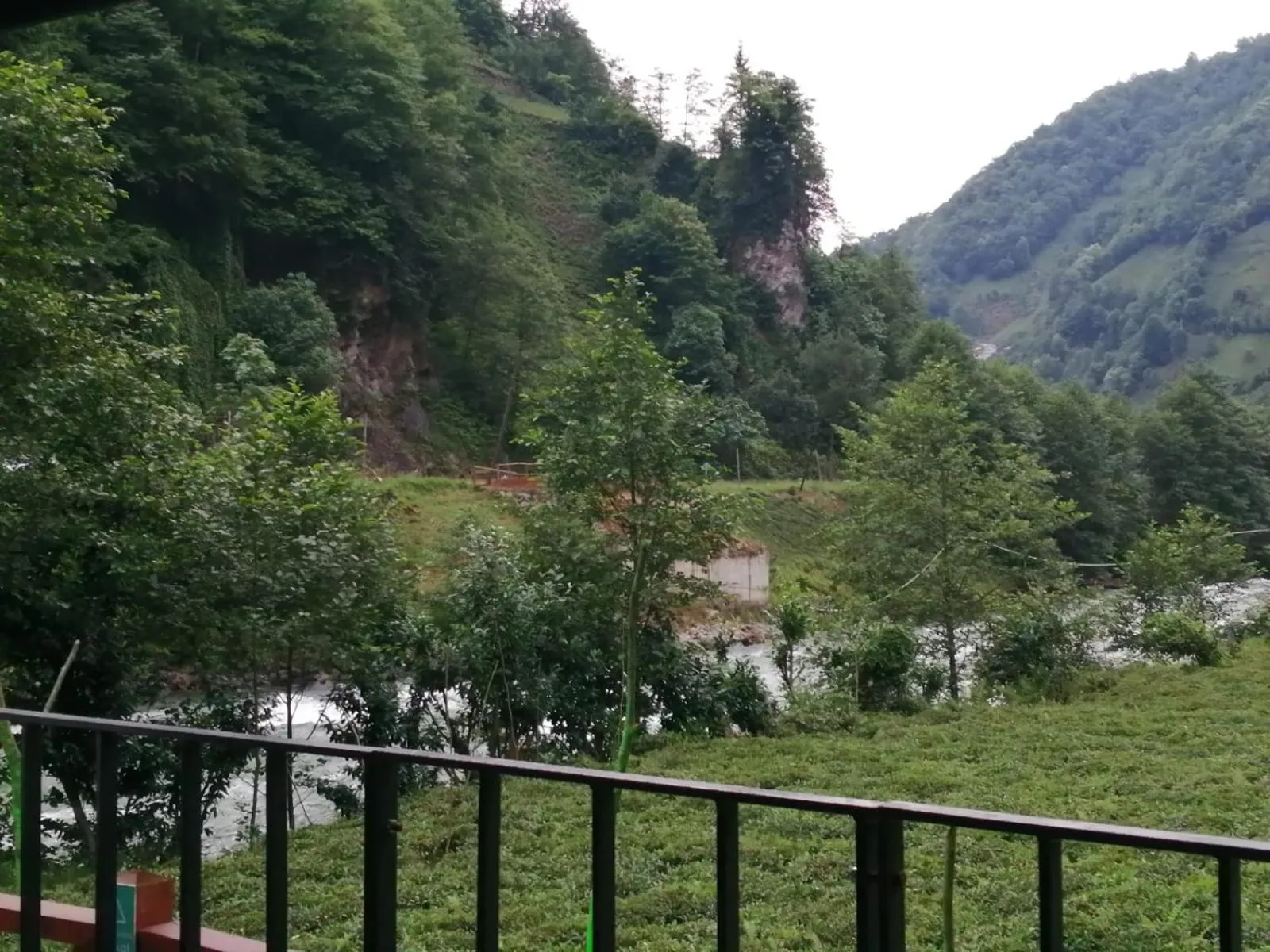 Natural landscape in Vagona Tiny House