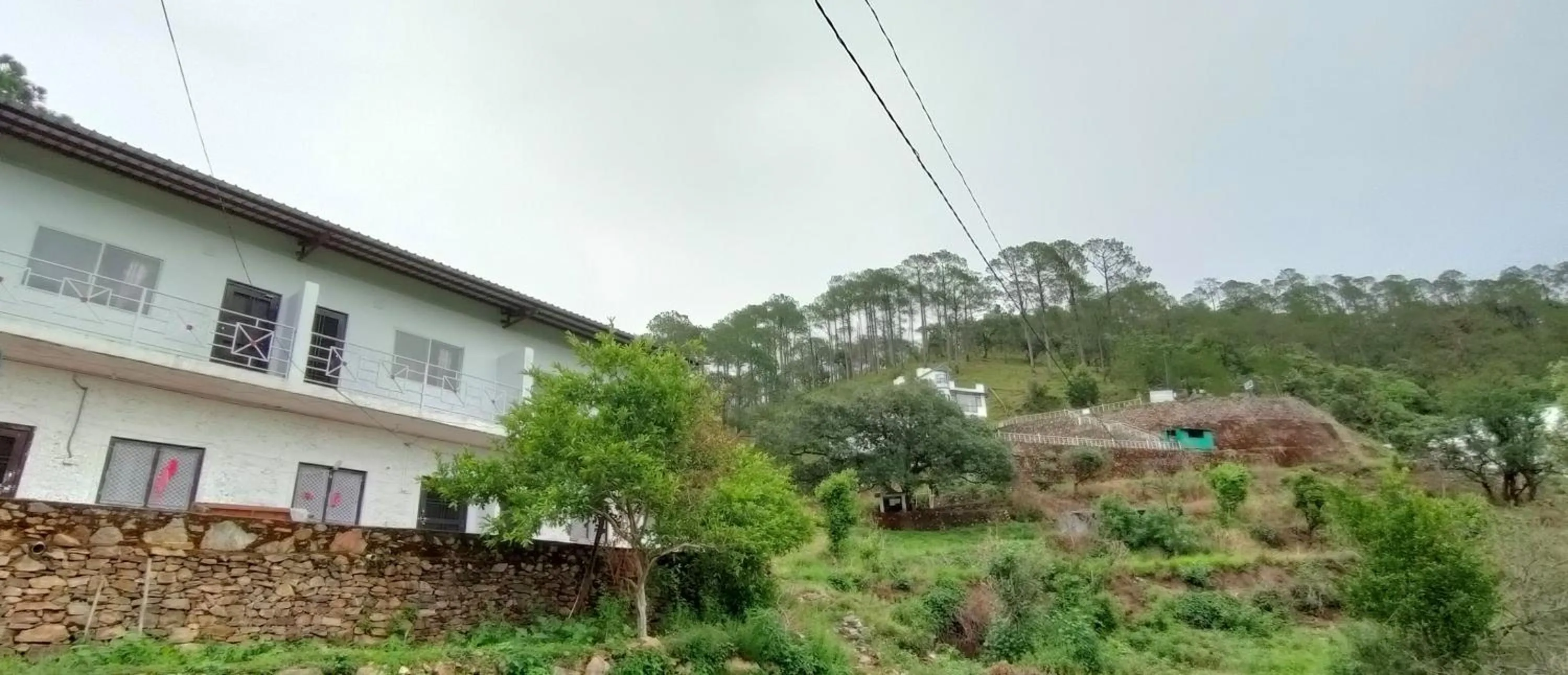 The Green Pine Cottage
