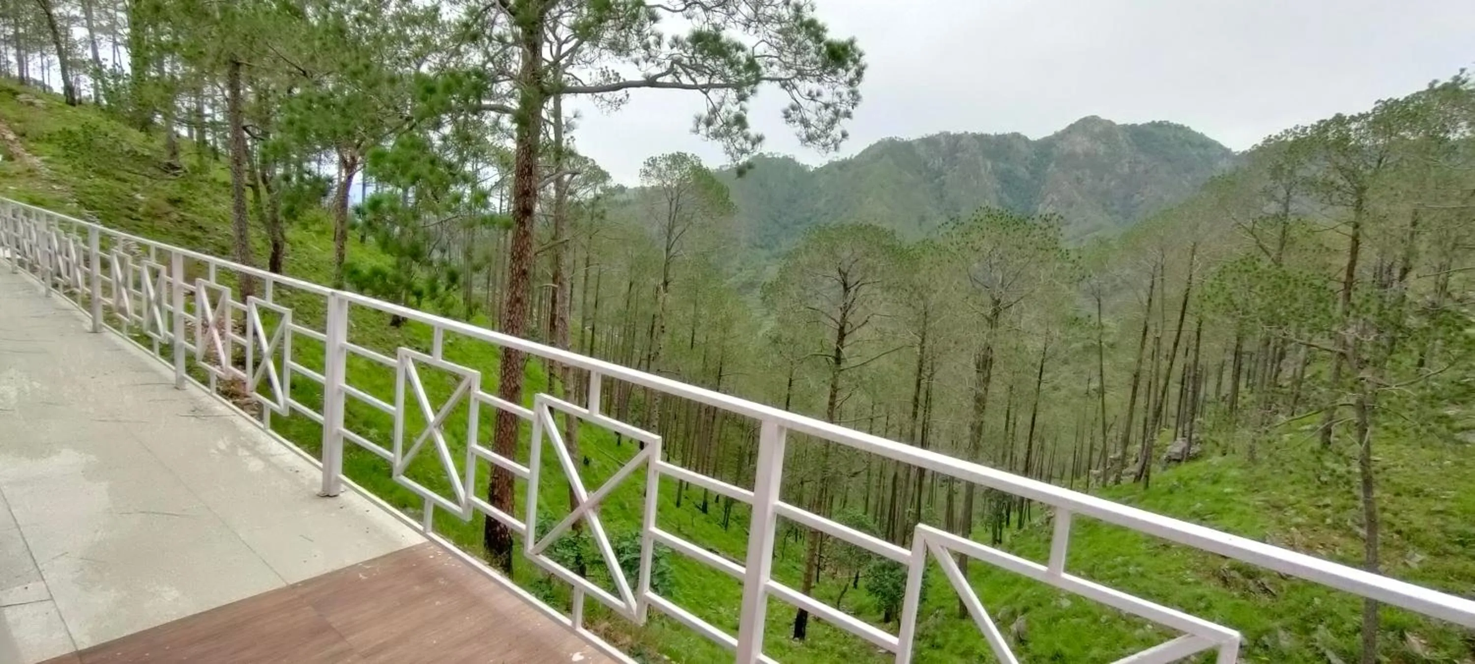 Balcony/Terrace in The Green Pine Cottage