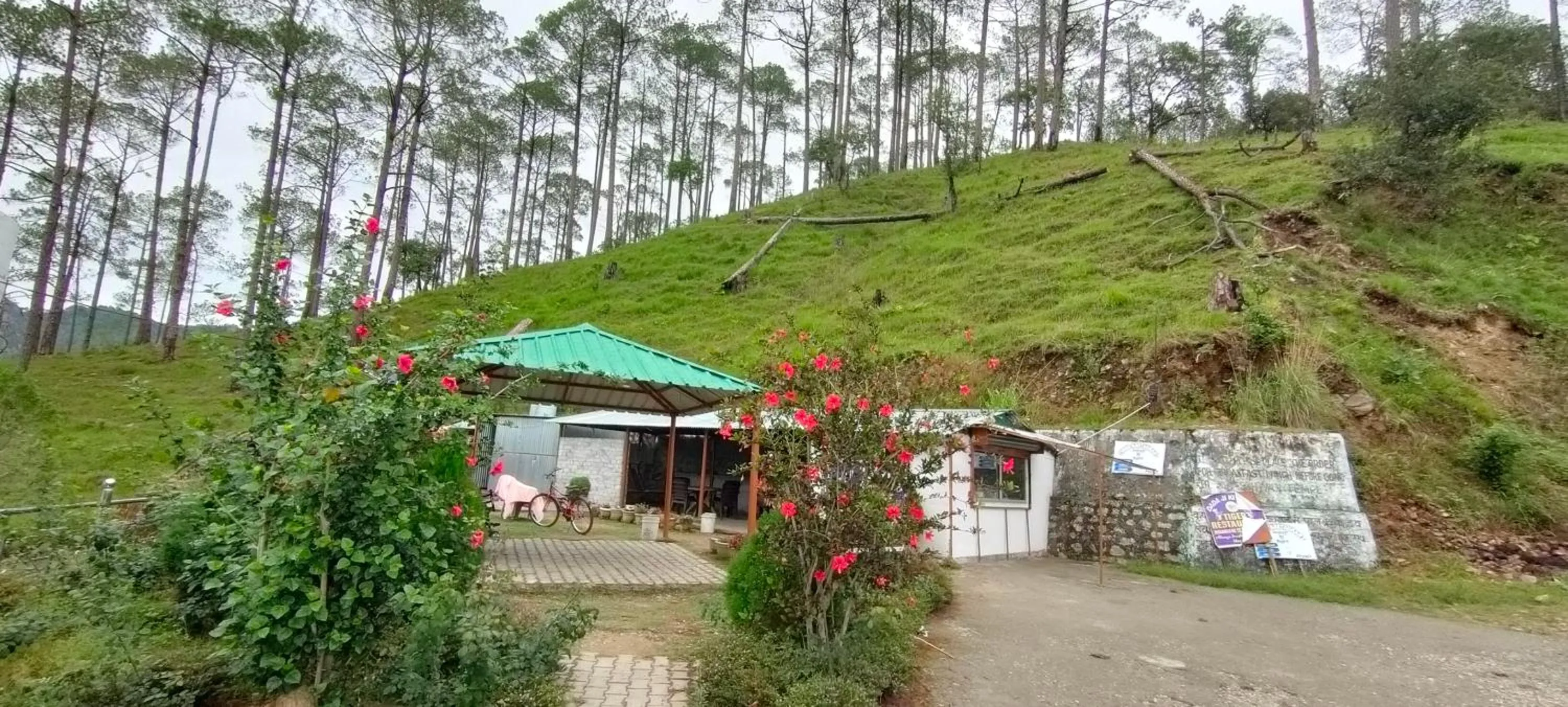 Restaurant/places to eat in The Green Pine Cottage