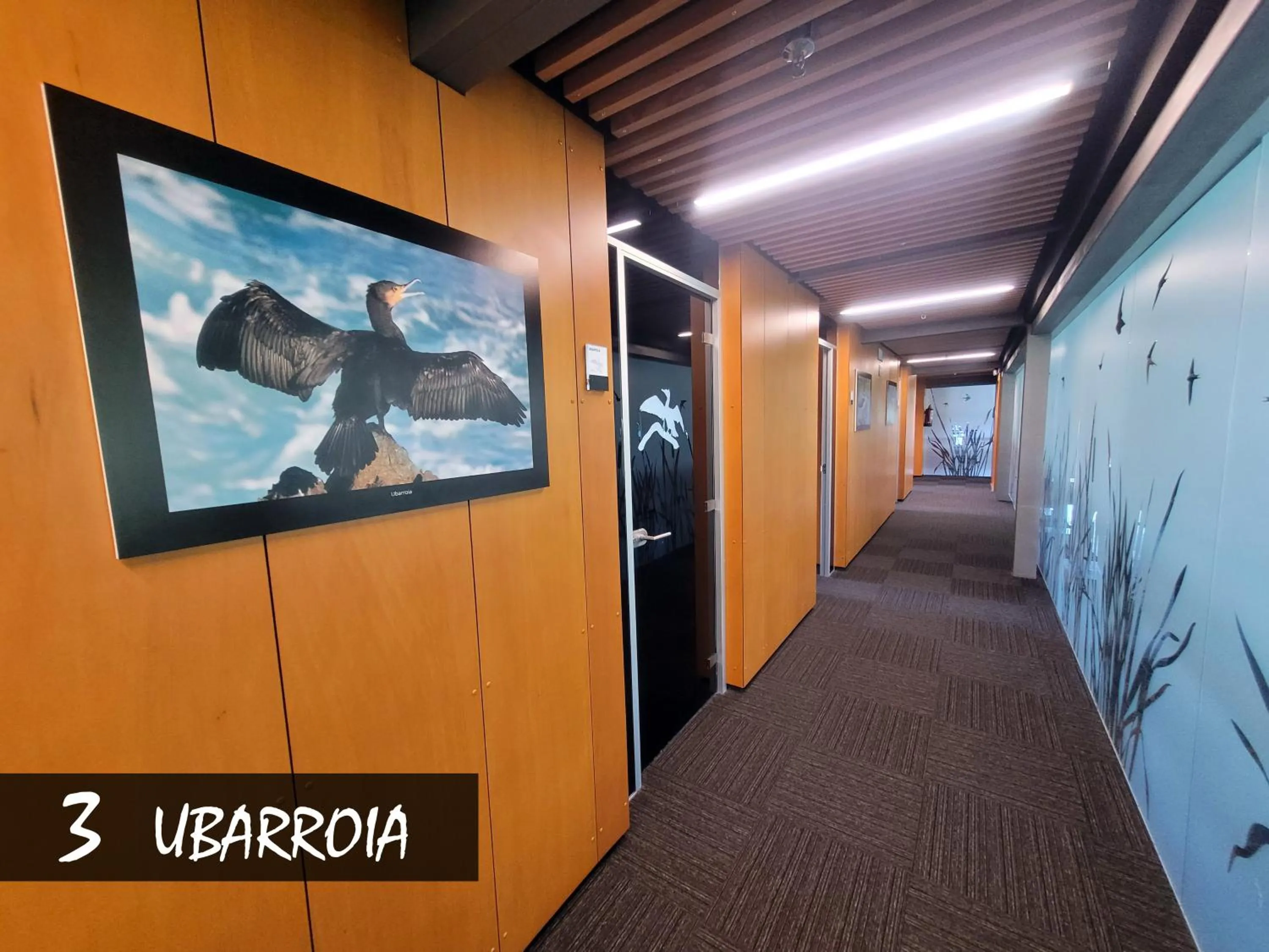 Decorative detail in Urdaibai Bird Center