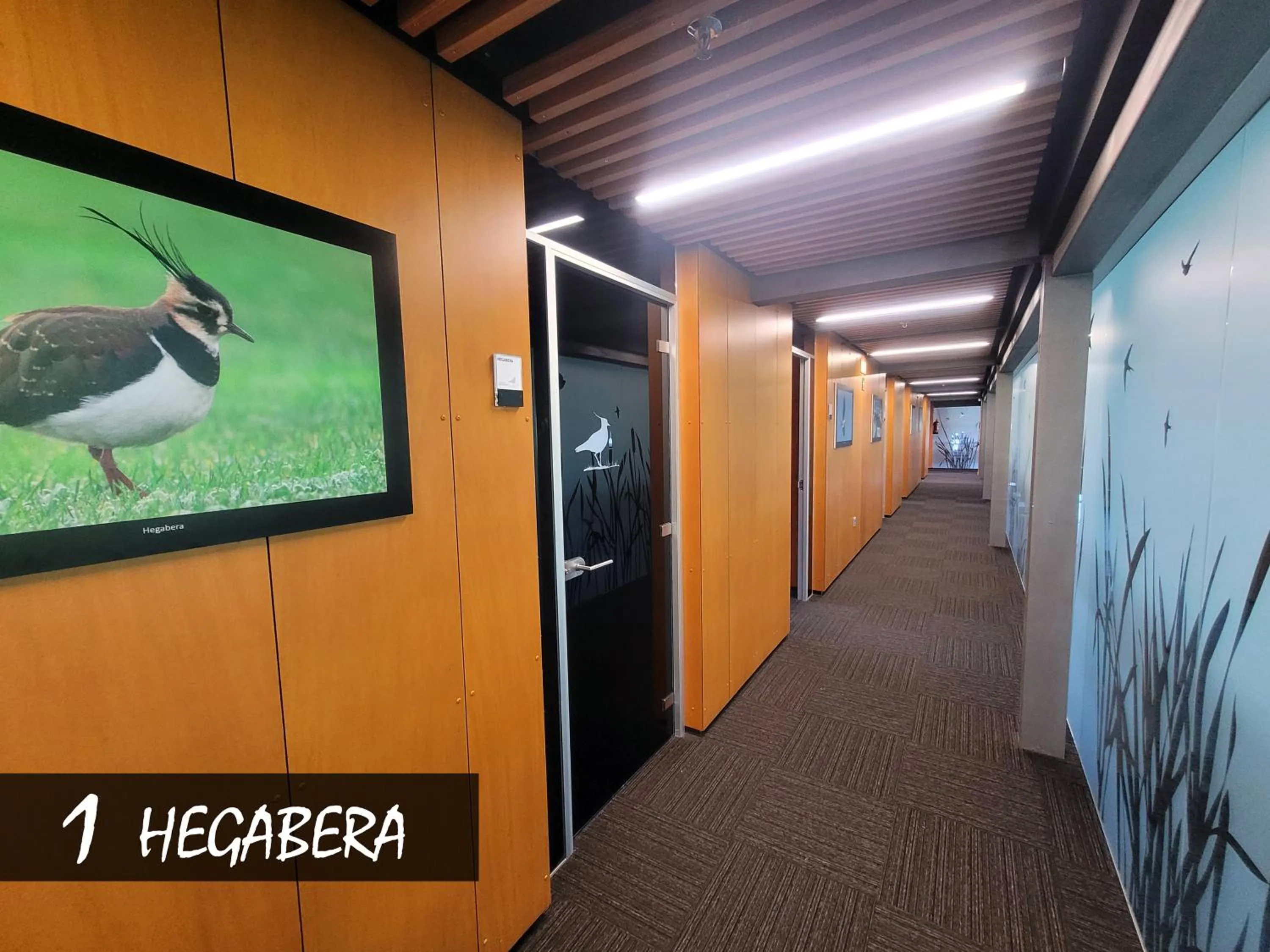 Decorative detail in Urdaibai Bird Center