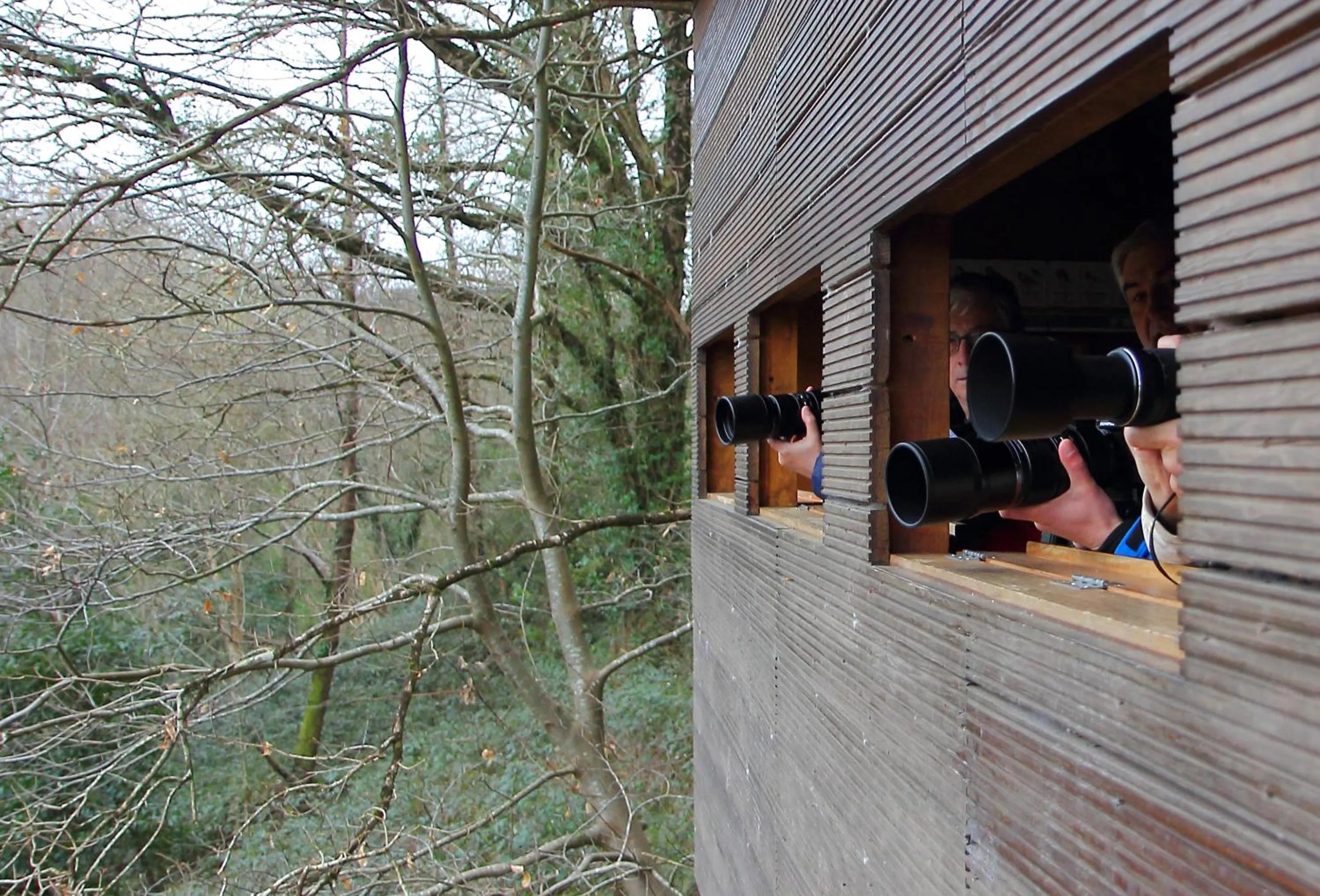 Property building in Urdaibai Bird Center