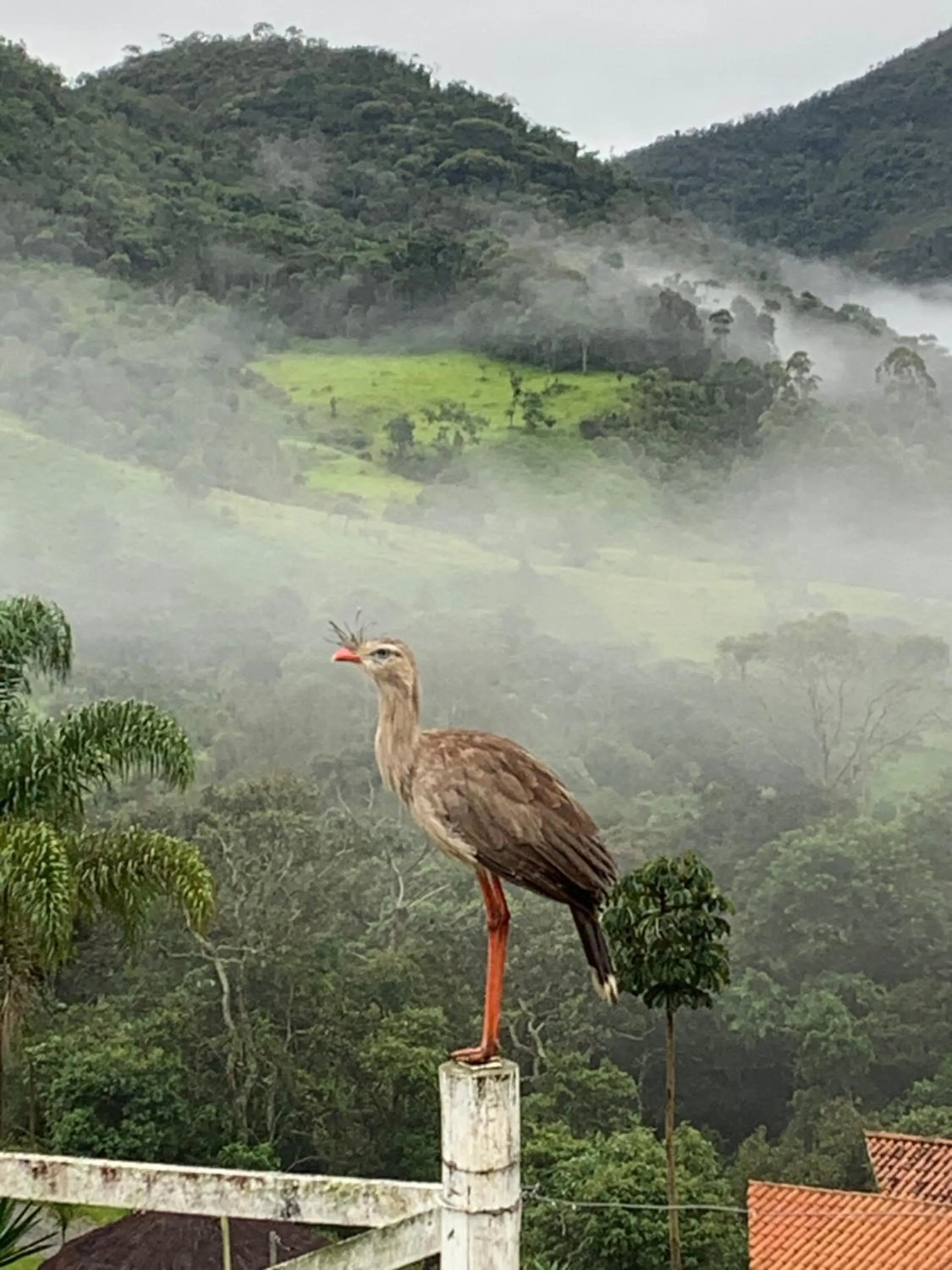 Mountain view in Sítio MAARA