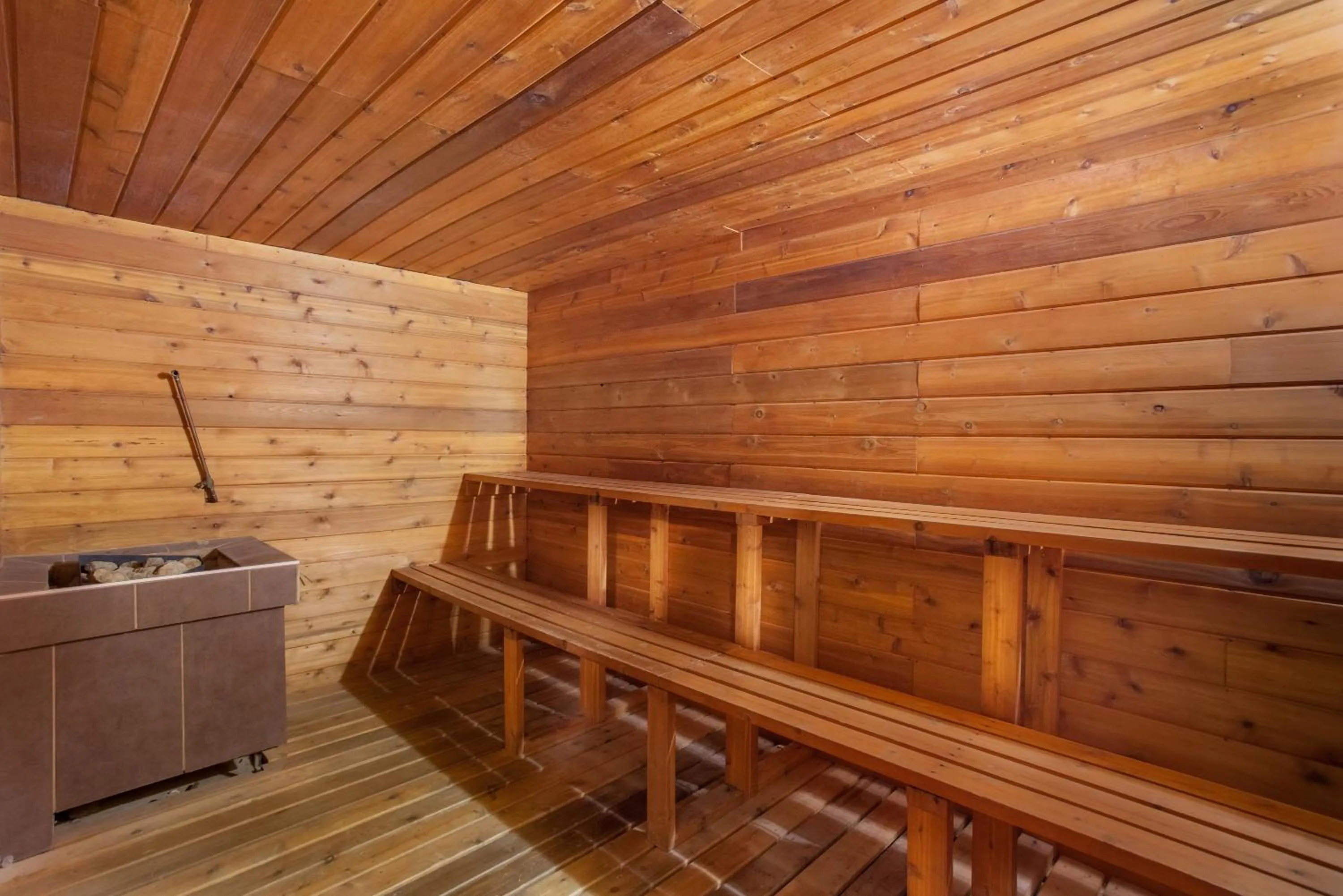 Sauna in Econo Lodge Inn & Suites