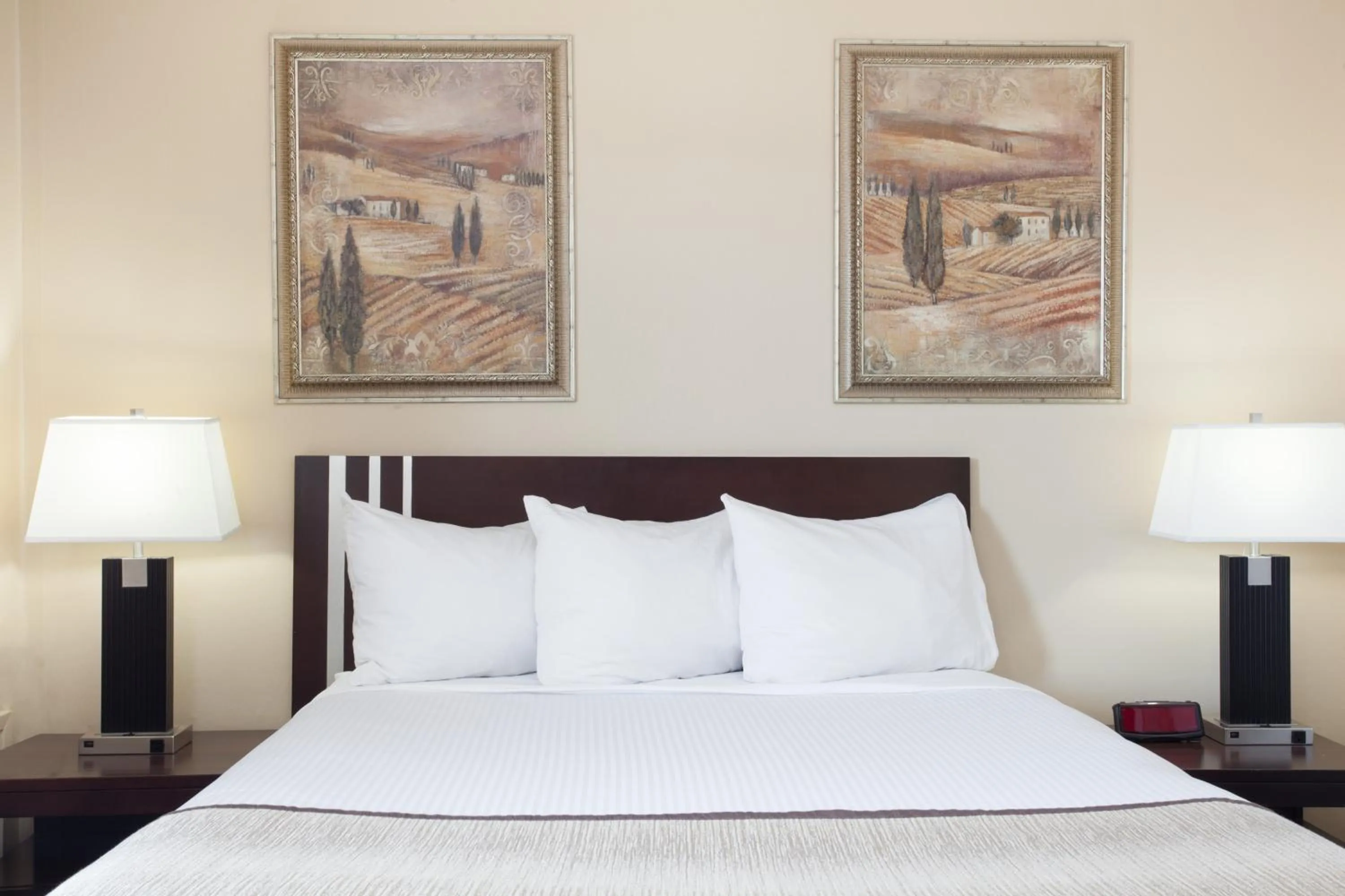 Bedroom, Bed in Econo Lodge Inn & Suites