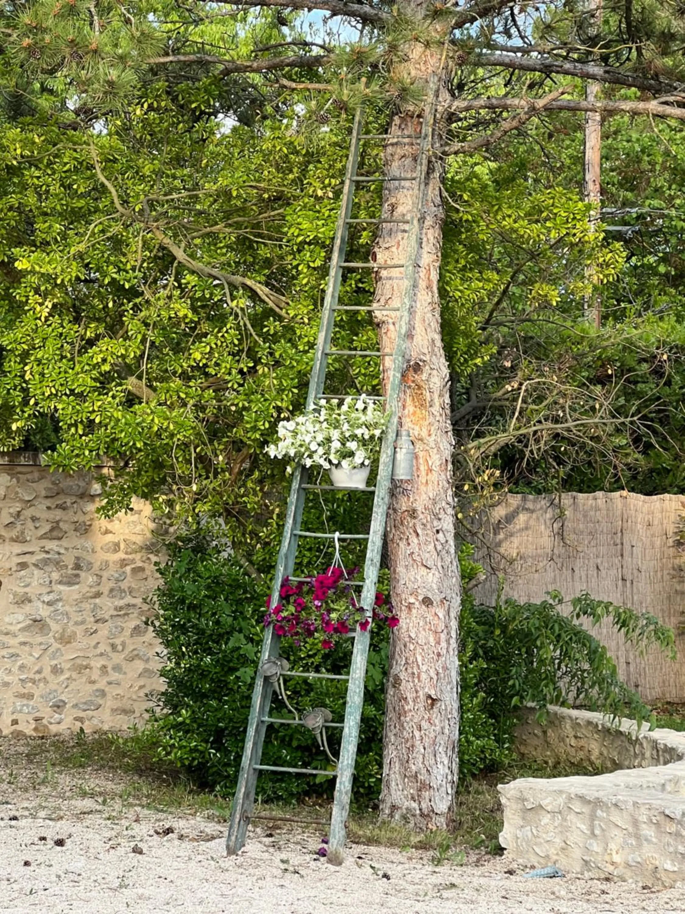 Garden view in Mas Galinette