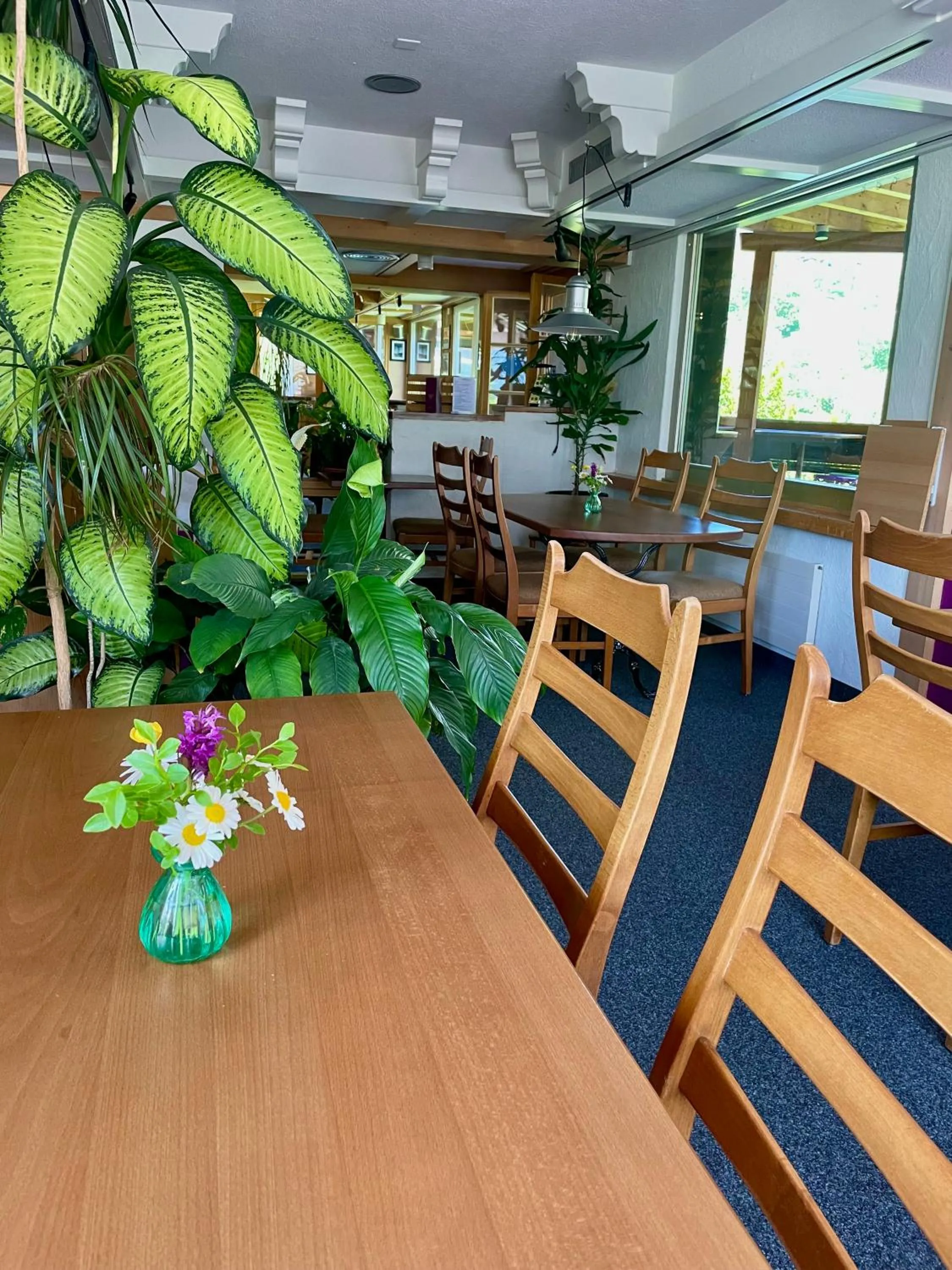 Restaurant/places to eat in Hotel Alpenblick