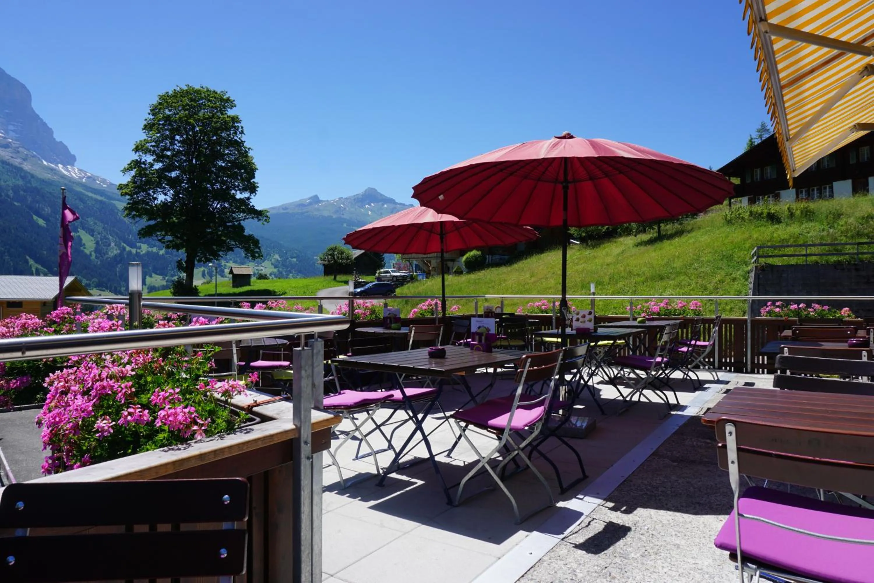 Restaurant/places to eat in Hotel Alpenblick