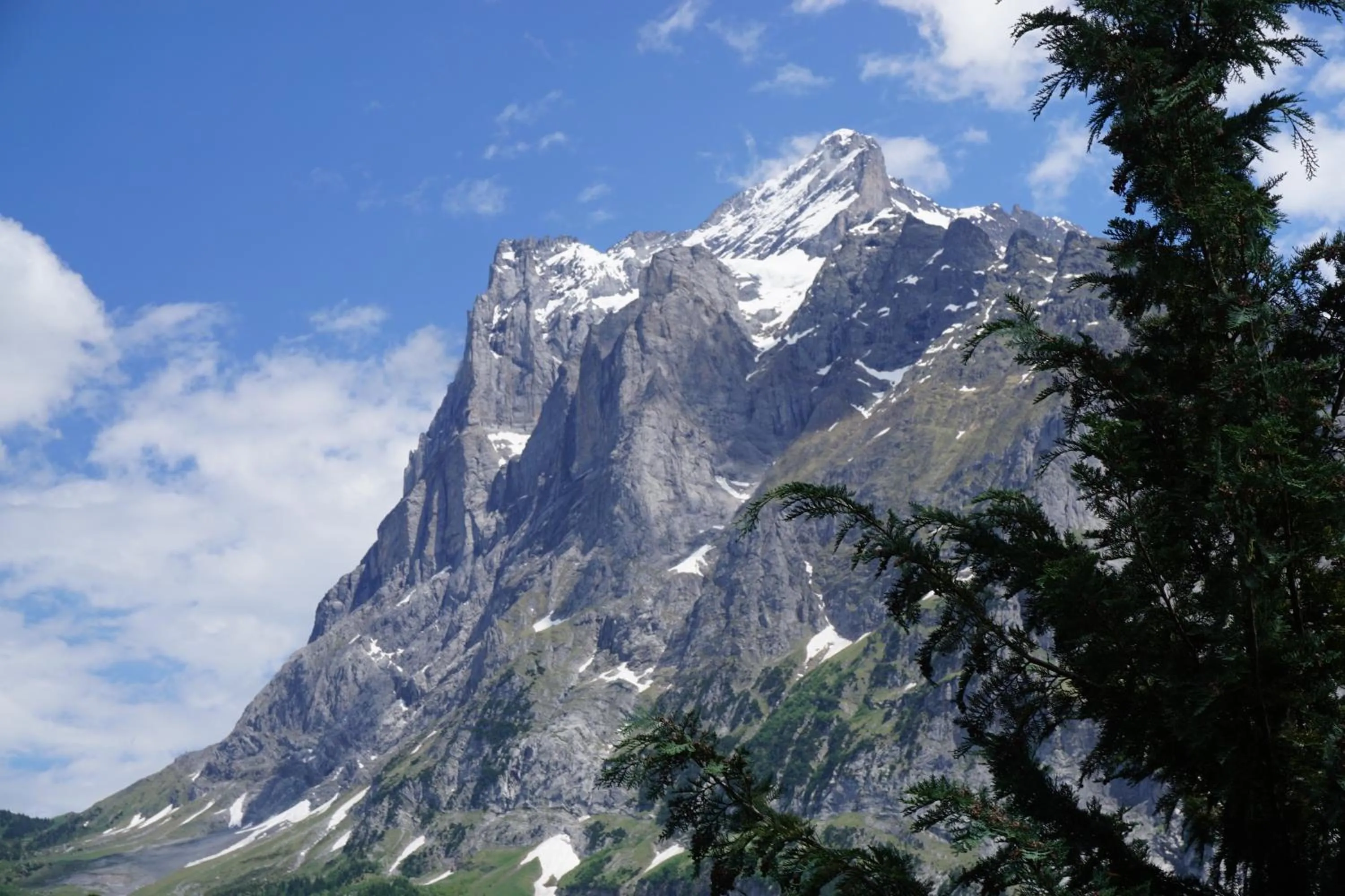 Mountain view in Hotel Alpenblick