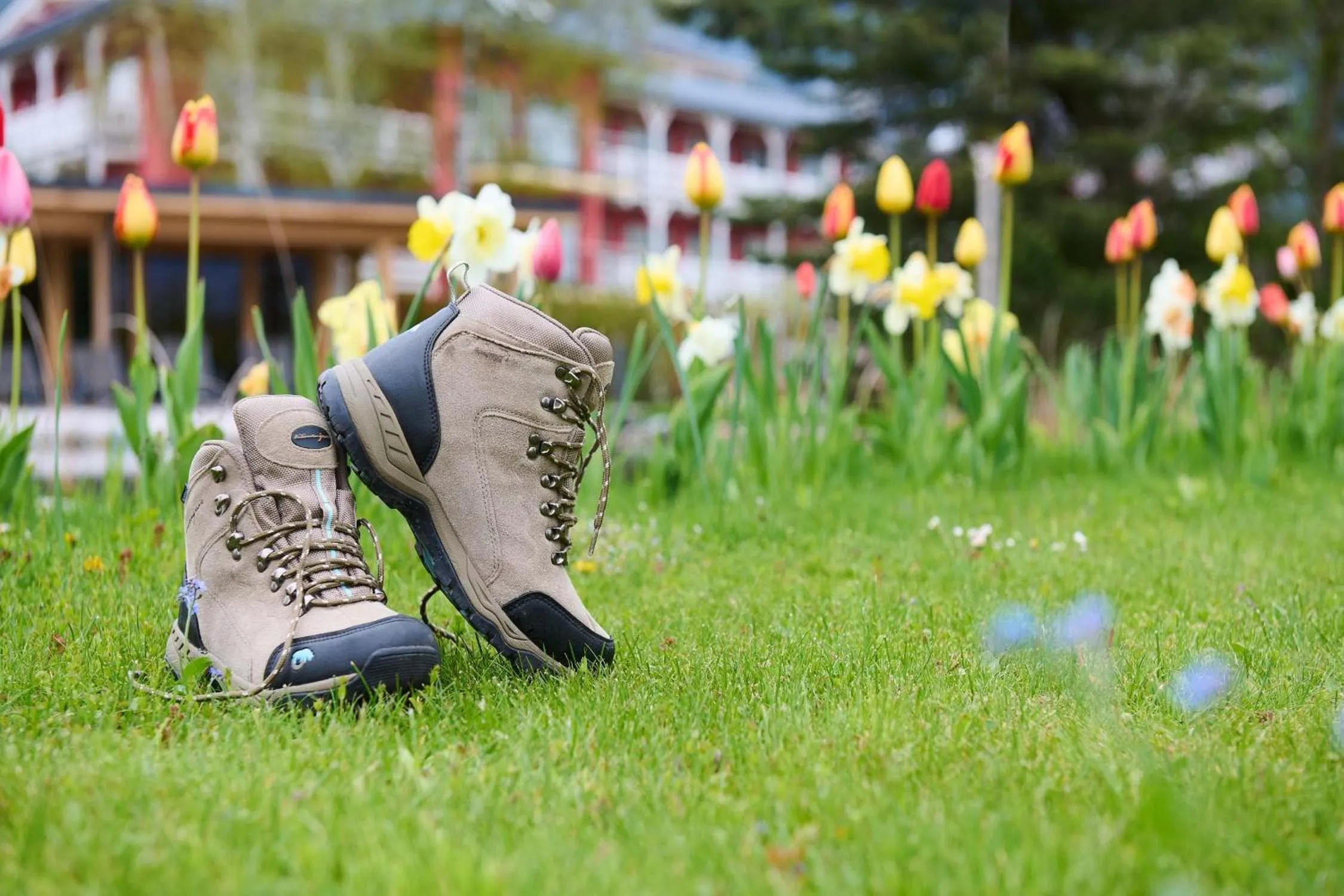 Hiking in Das Hotel Eden - Das Aktiv- & Wohlfühlhotel in Tirol auf 1200m Höhe