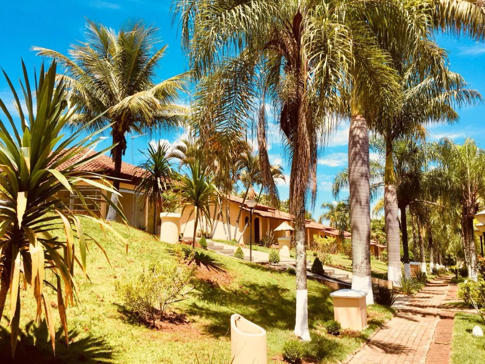 Garden view in Hotel Fazenda Colina