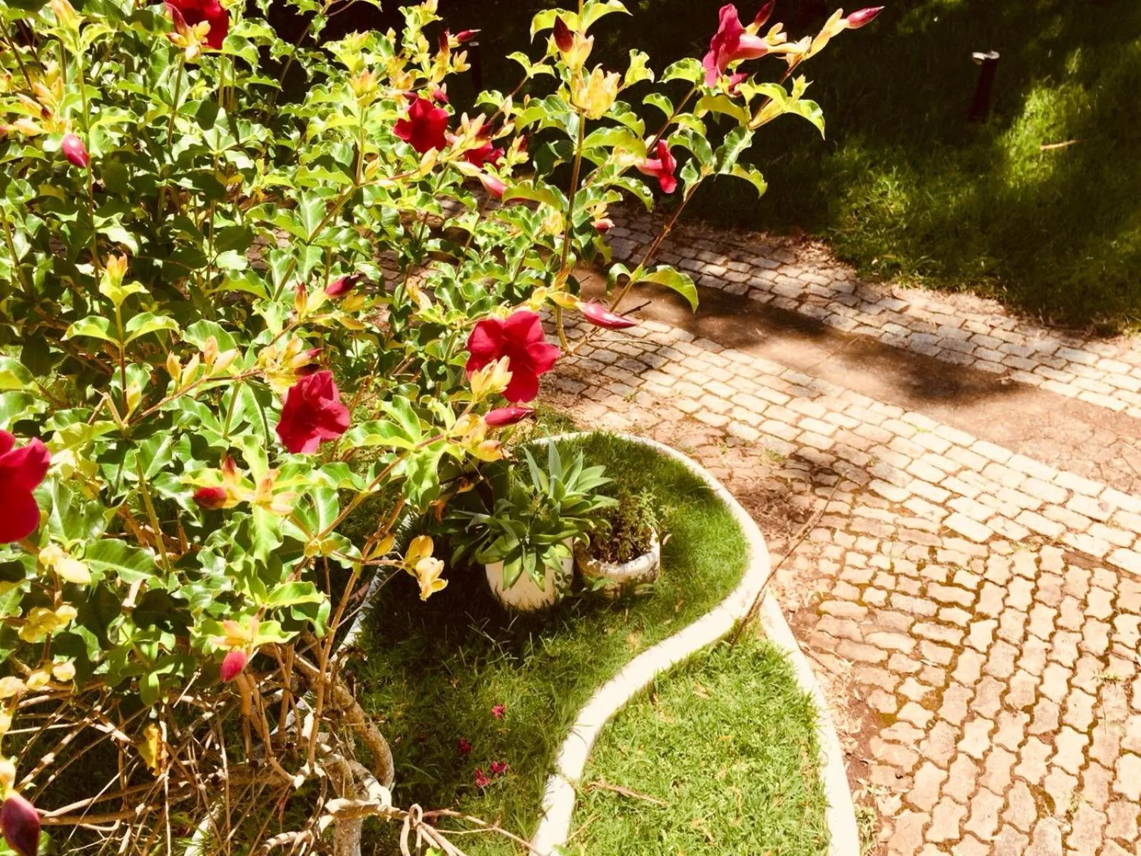 Garden in Hotel Fazenda Colina