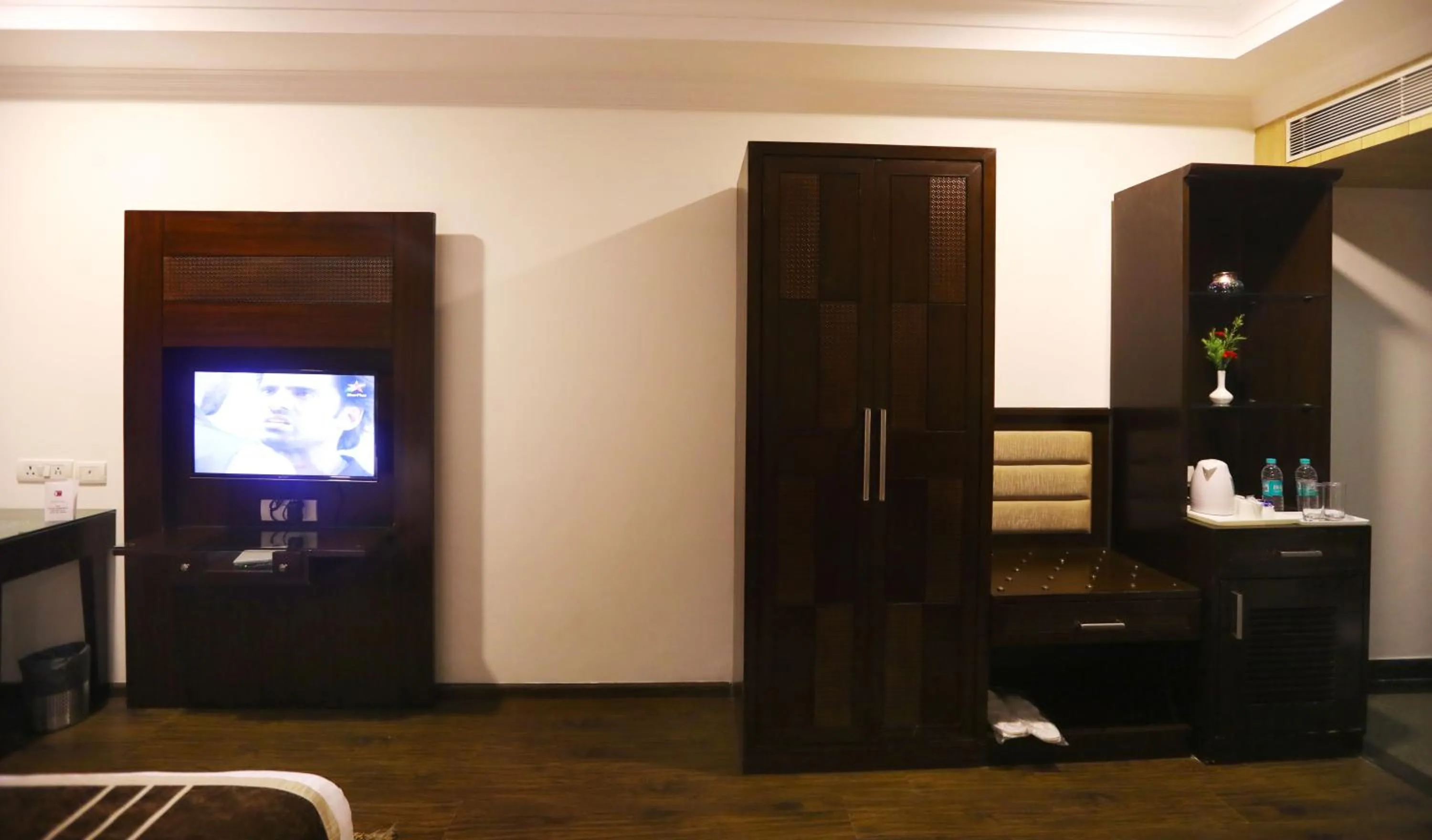 TV and multimedia in HOTEL PITRASHISH PRIDE IGI Intl AIRPORT DELHI