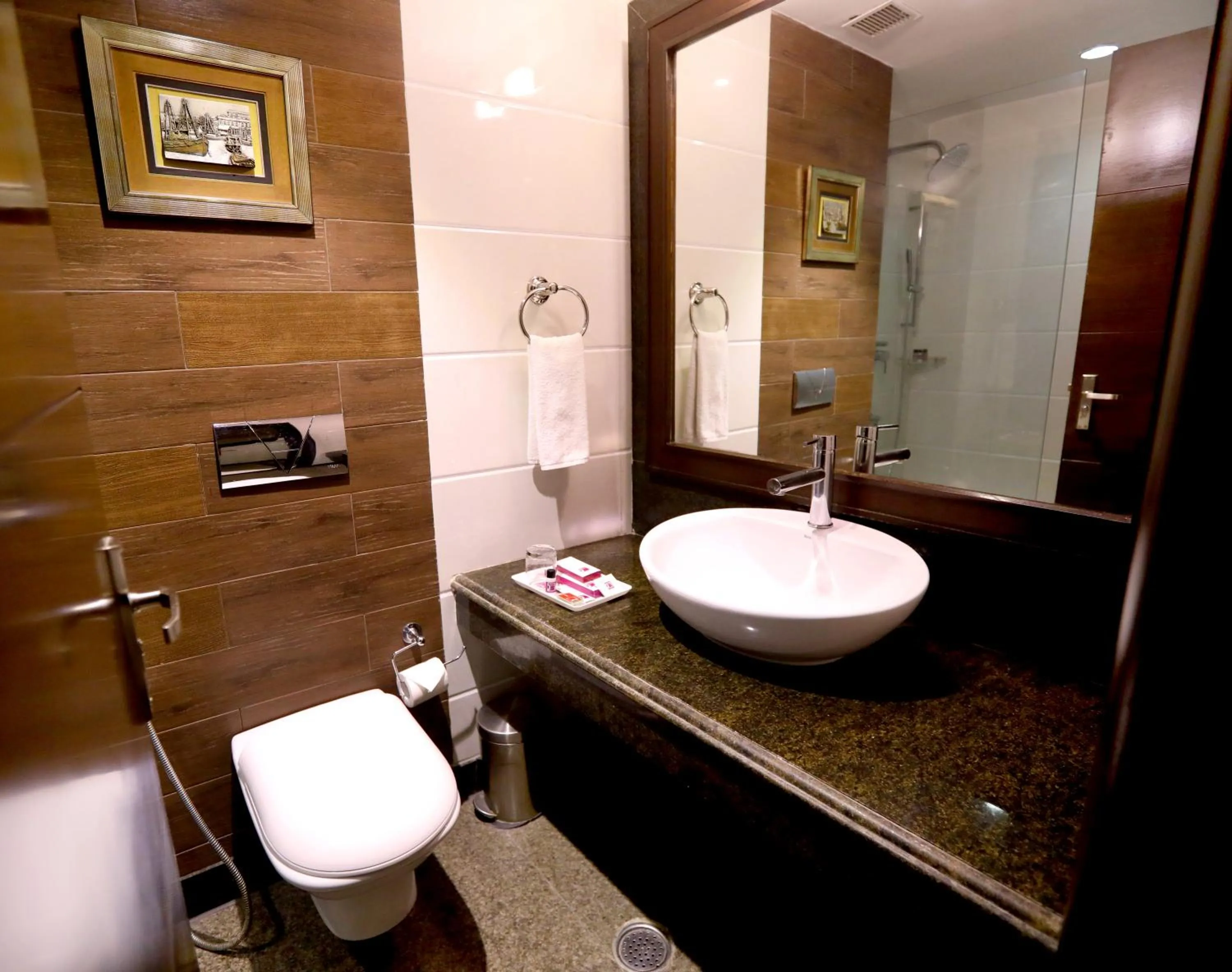 Bathroom in HOTEL PITRASHISH PRIDE IGI Intl AIRPORT DELHI