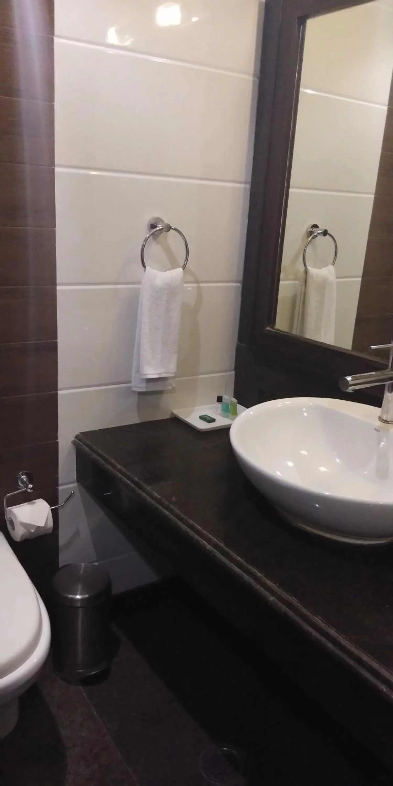 Bathroom in HOTEL PITRASHISH PRIDE IGI Intl AIRPORT DELHI