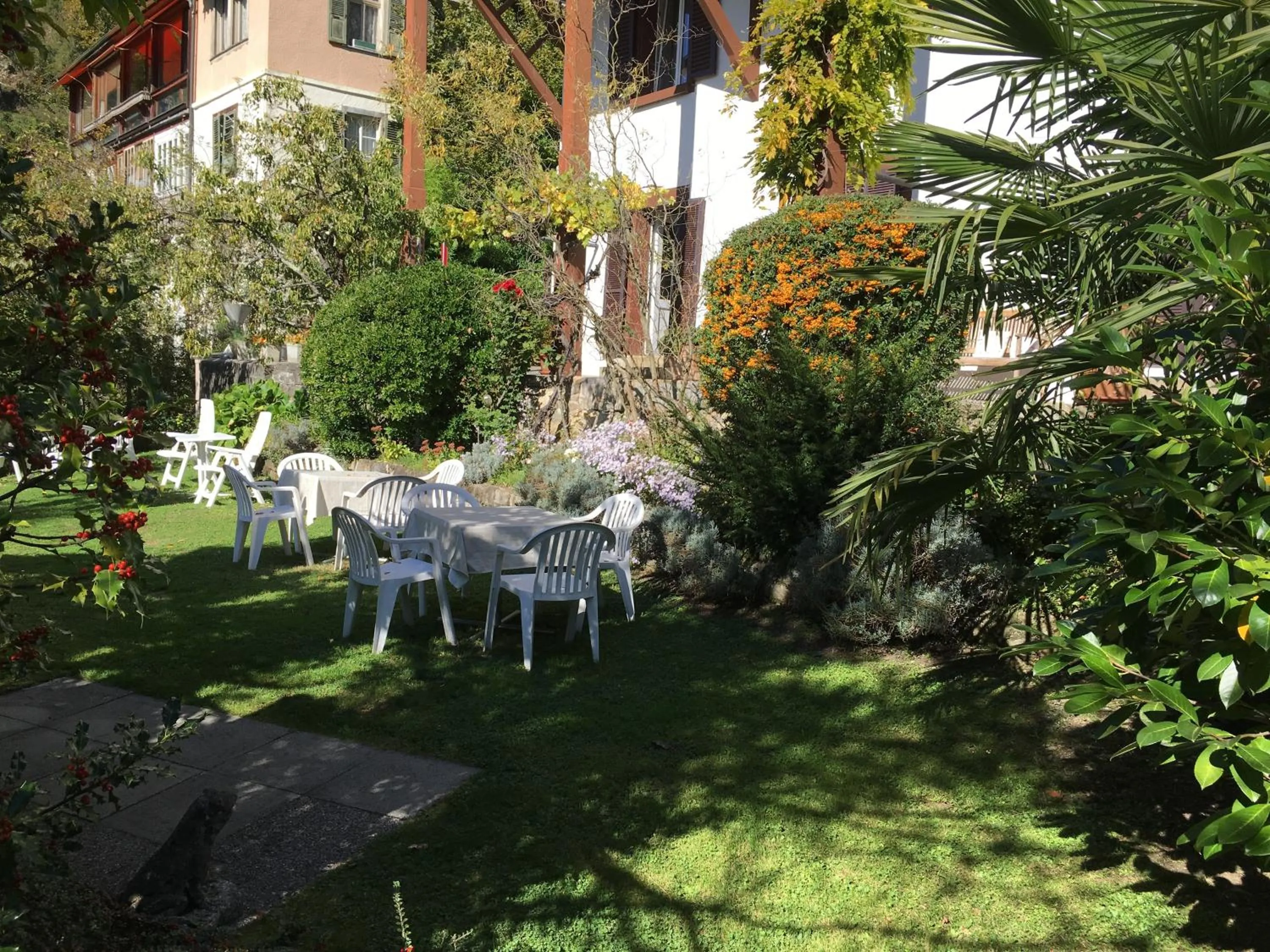 Garden in Hotel Beatus