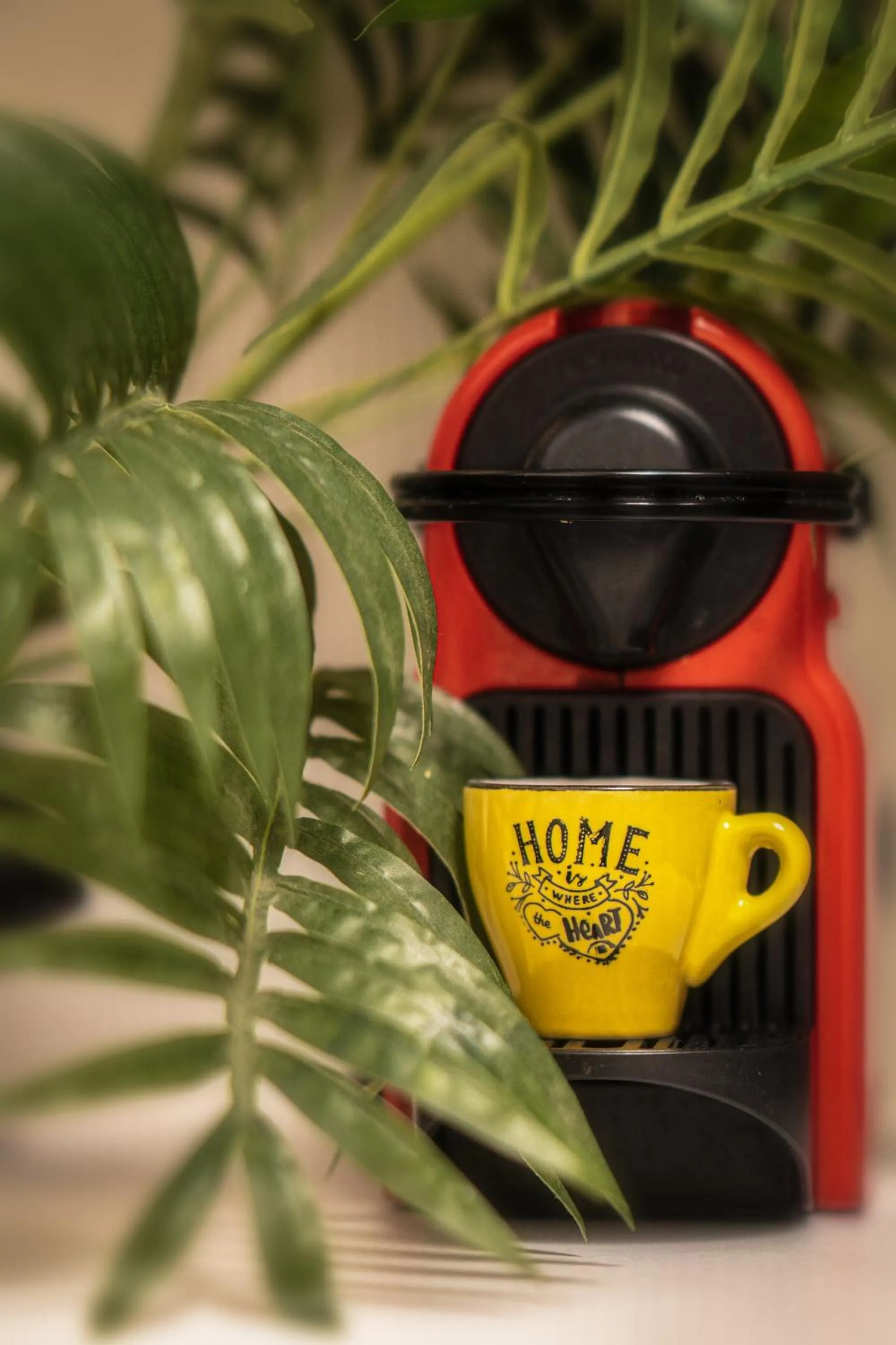 Decorative detail in La Casa Di Luce