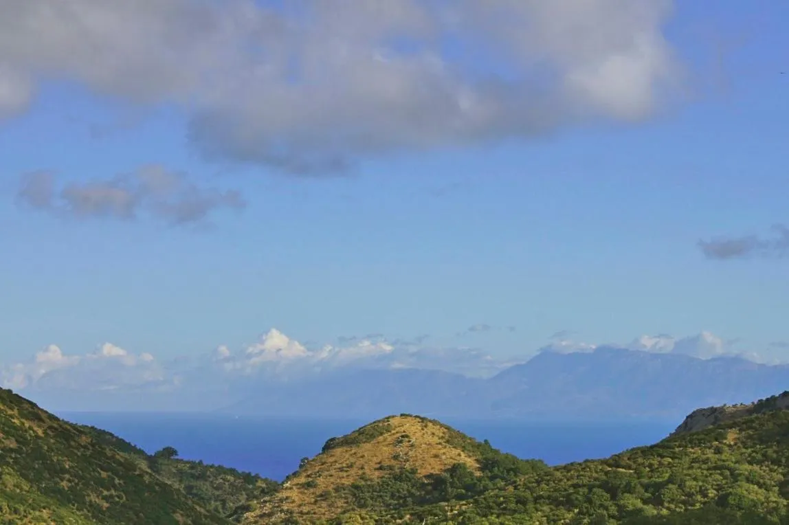 Day in The Merchants House