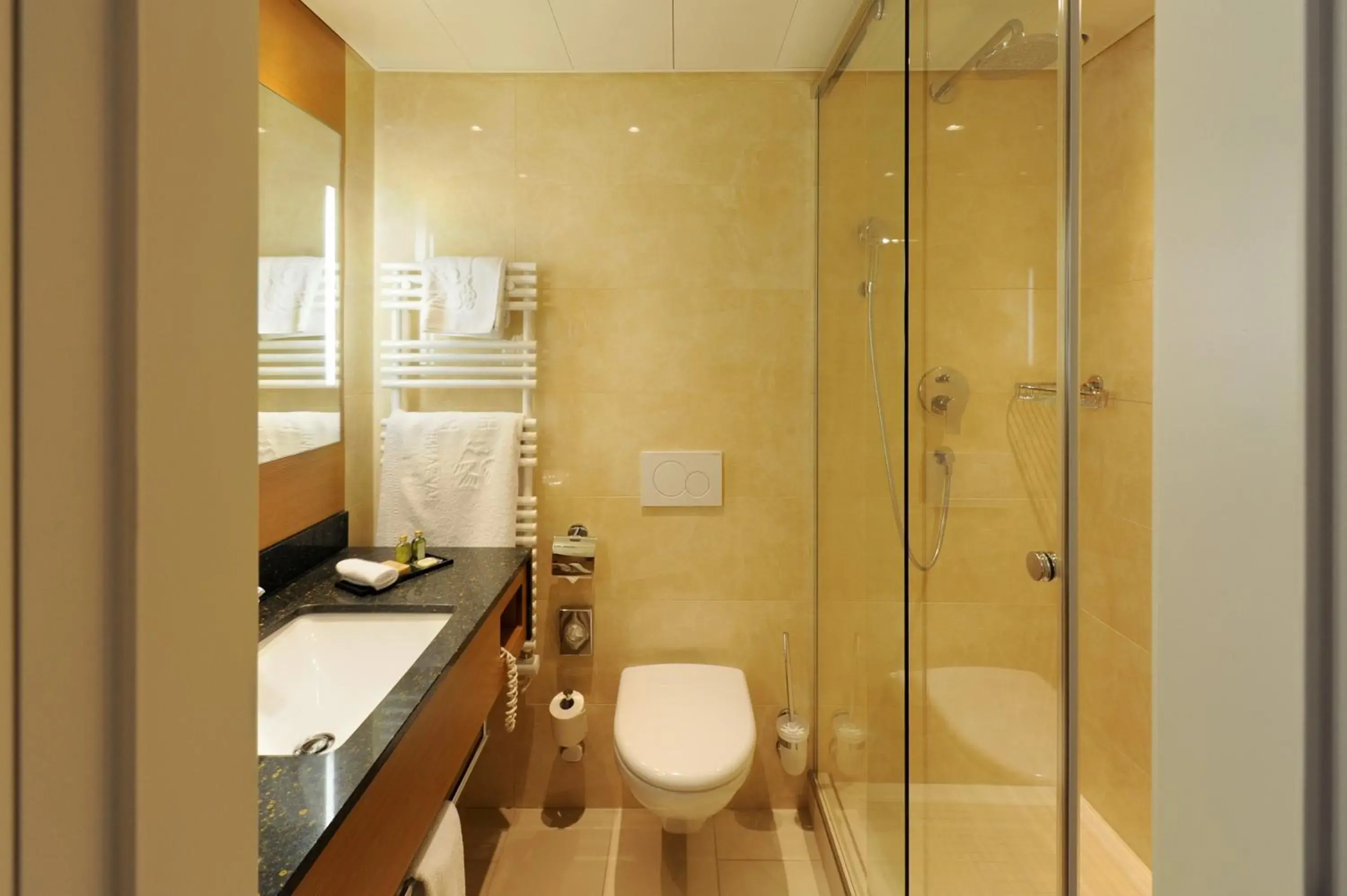 Single Room in Hôtel de la Paix Lausanne Single Room in Hôtel de la Paix Lausanne