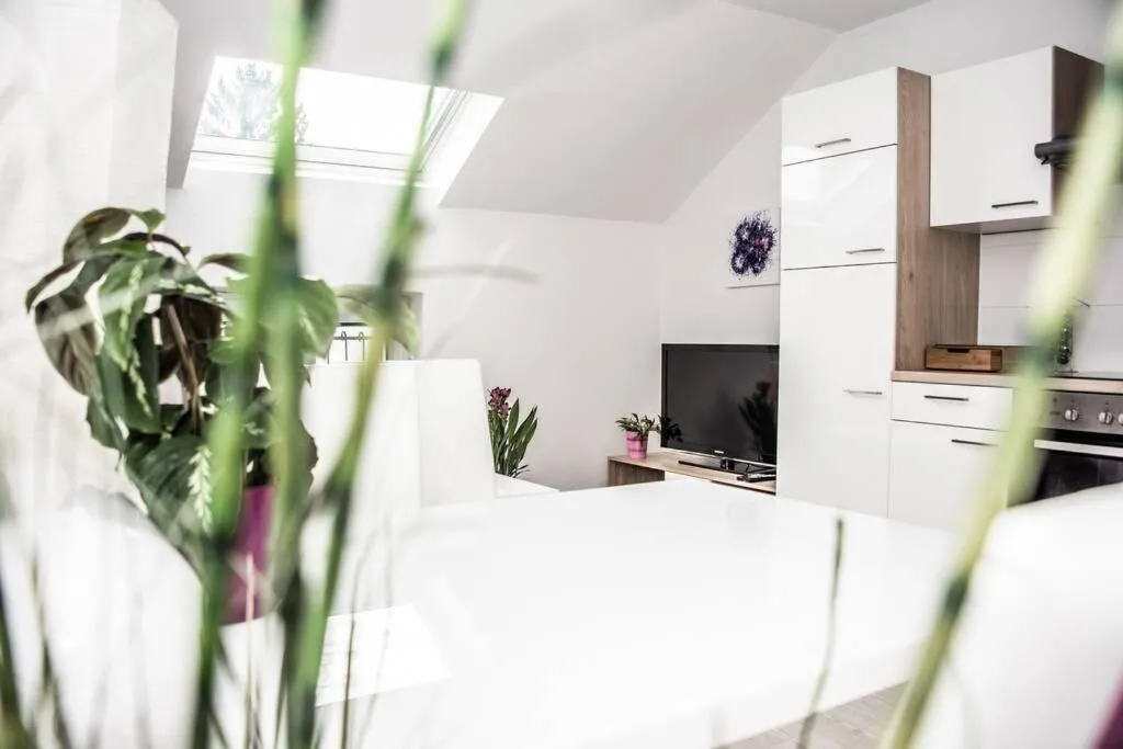 Apartment PourinGraz für Kunst- und Tennisliebhaber