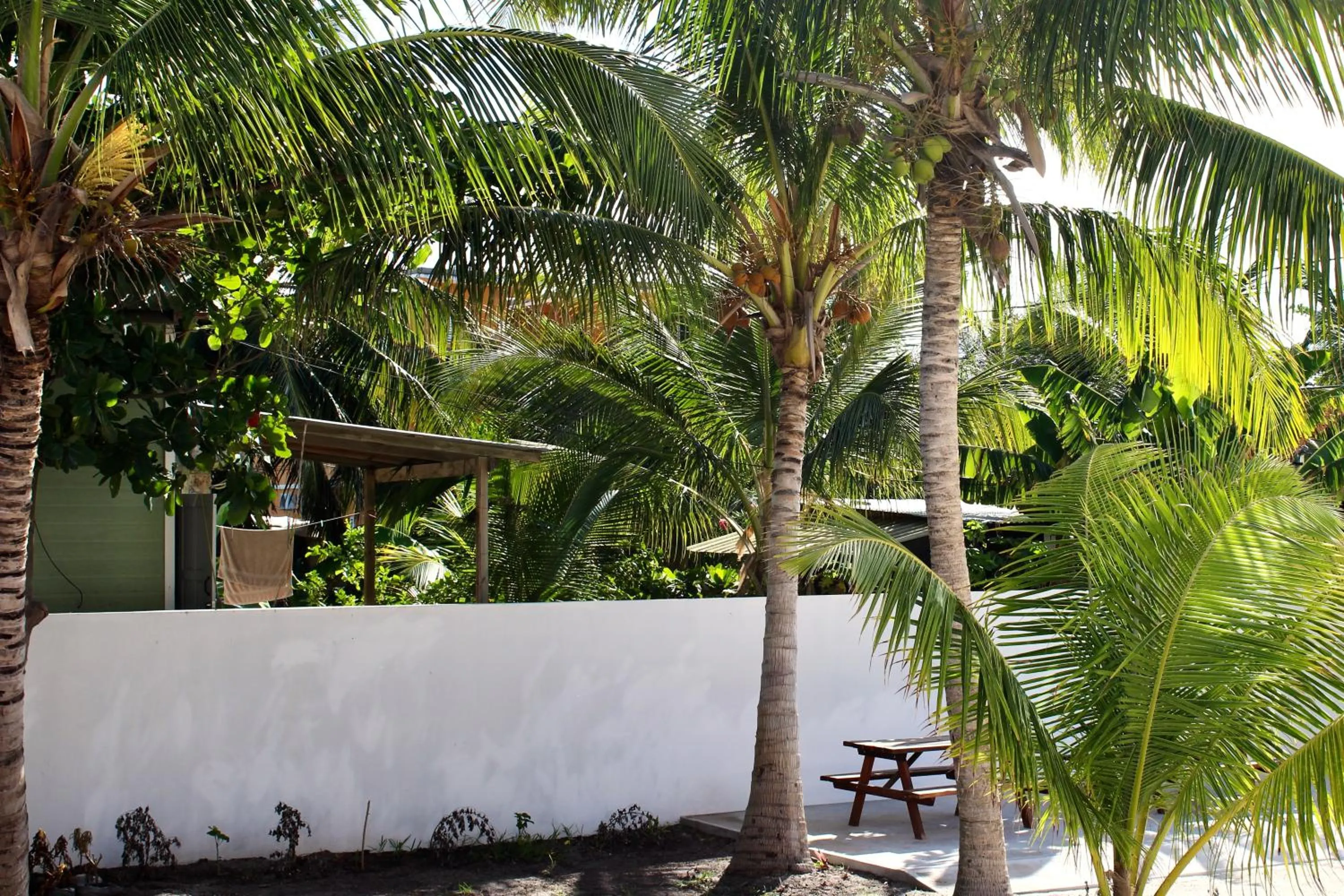 Garden in San Pablo Villas