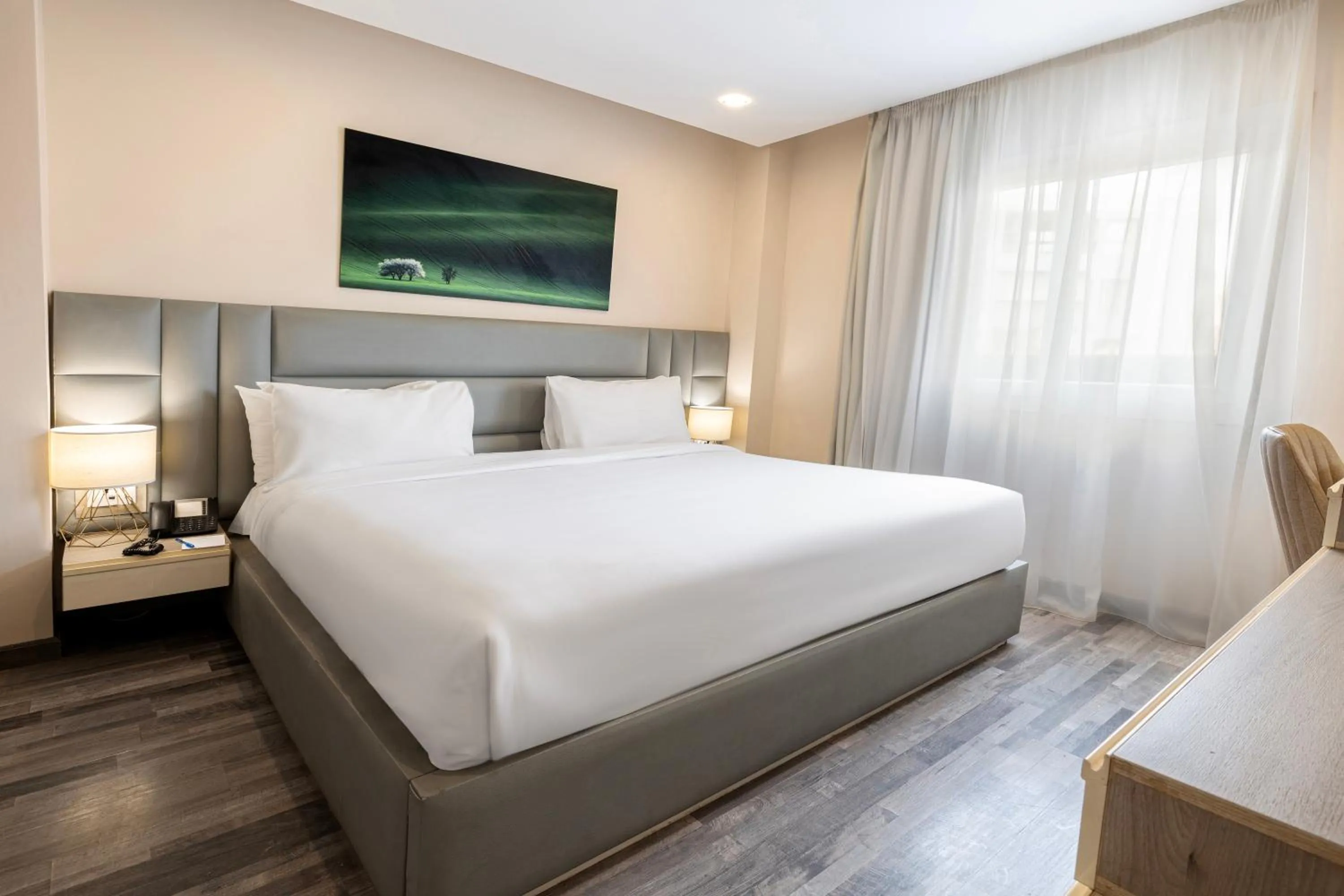 One-Bedroom Apartment in Ocean Blue Studios