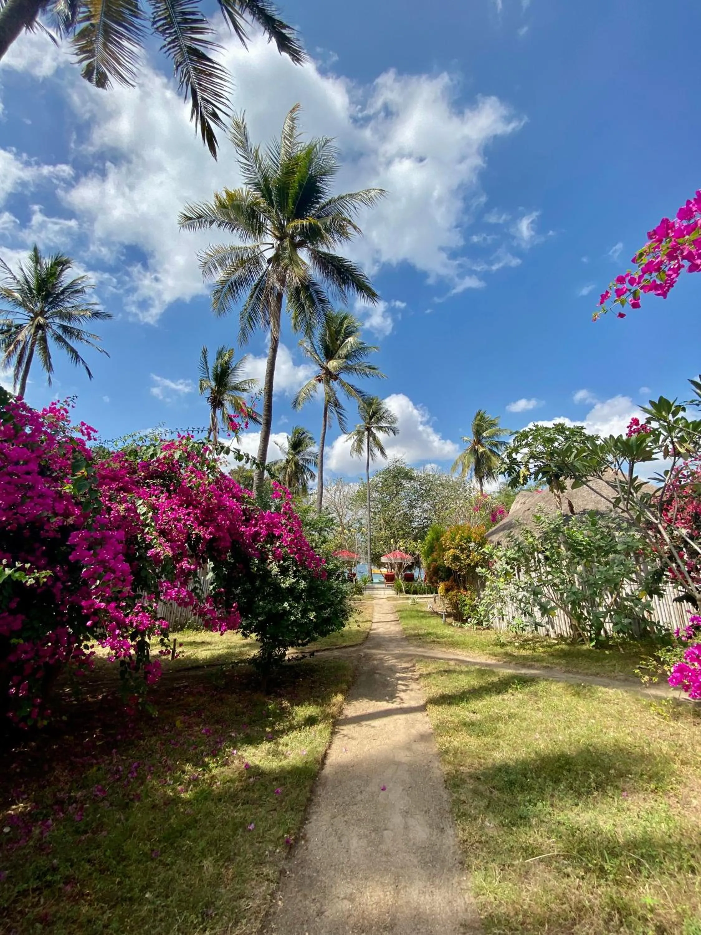 Garden in Amahelia Luxury Resort & Restaurant - Gili Asahan