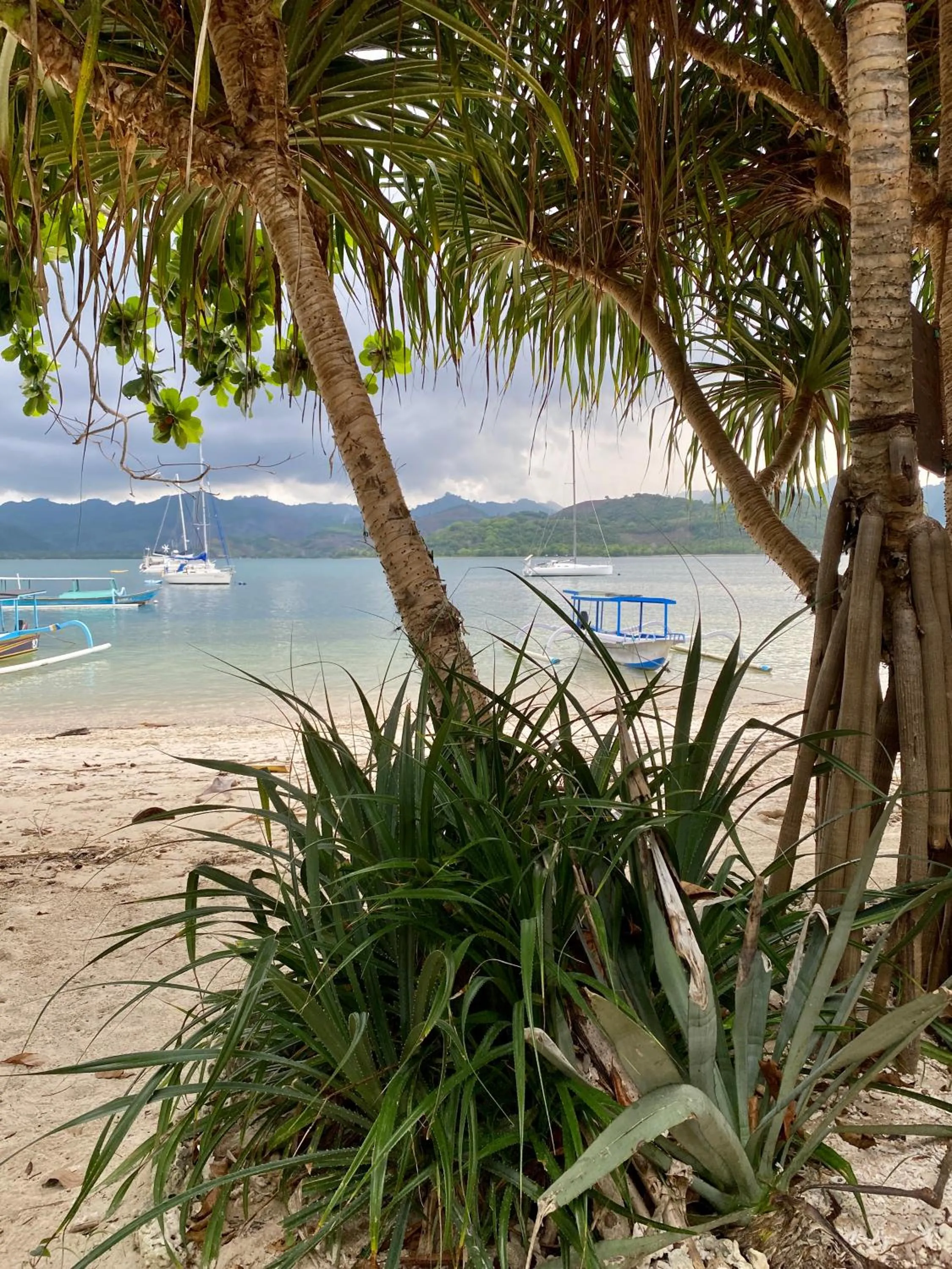 Beach in Amahelia Luxury Resort & Restaurant - Gili Asahan