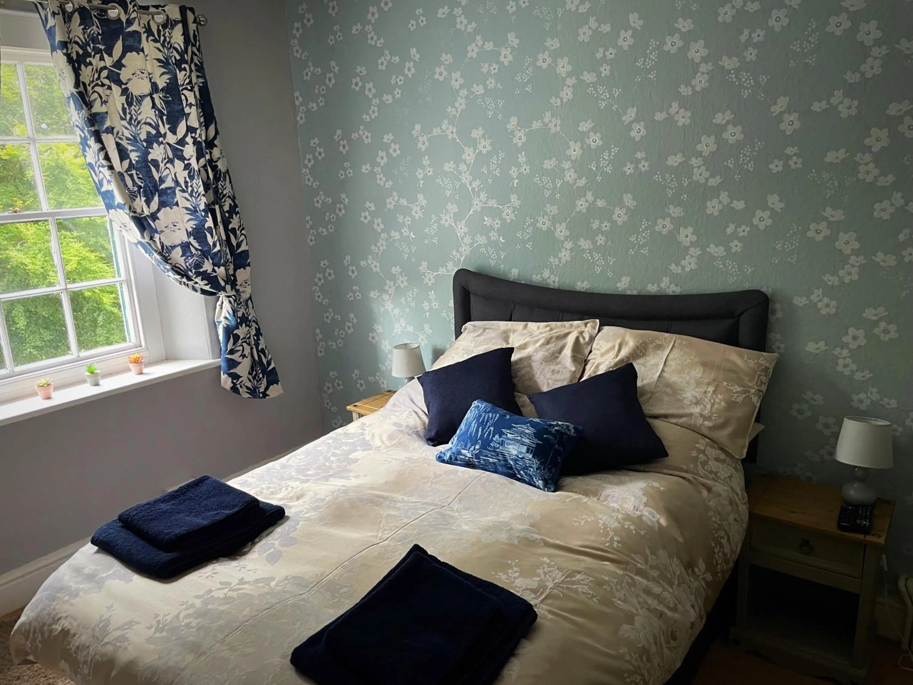 the Dartmoor bnb