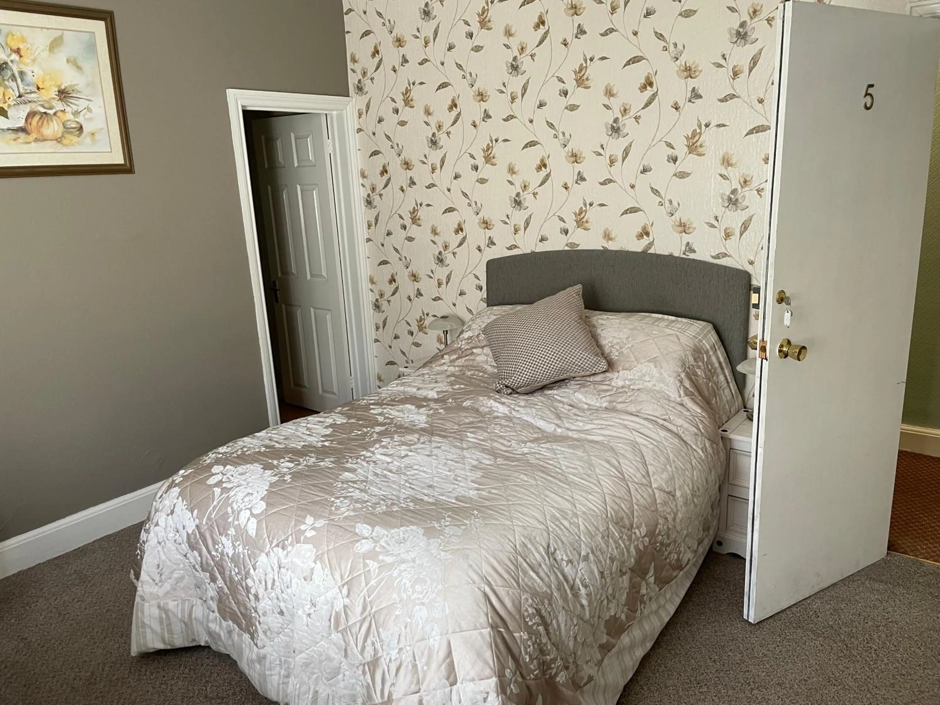 Deluxe Double Room - single occupancy in the Dartmoor bnb