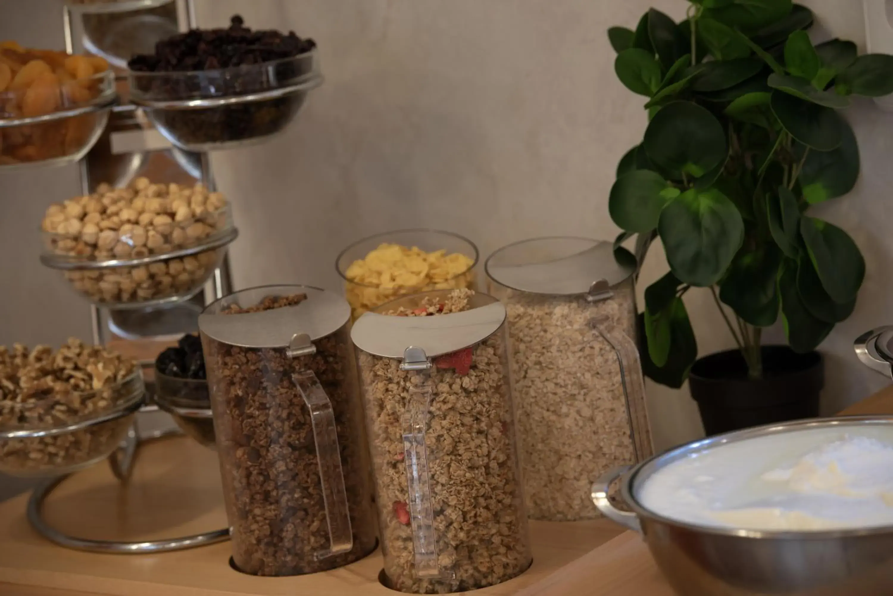 Food in Prague Season Hotel Food in Prague Season Hotel