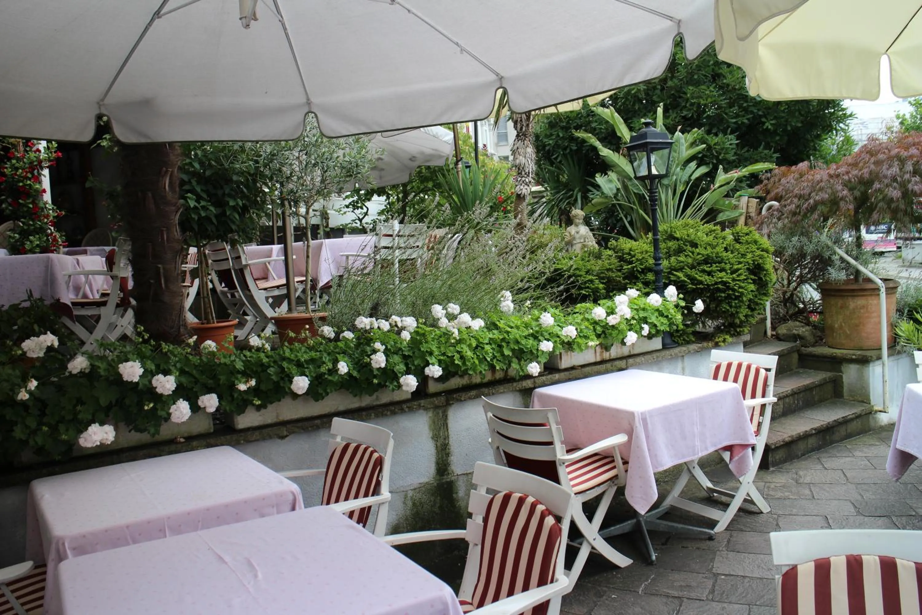 Restaurant/places to eat in Hotel Rigi Vitznau